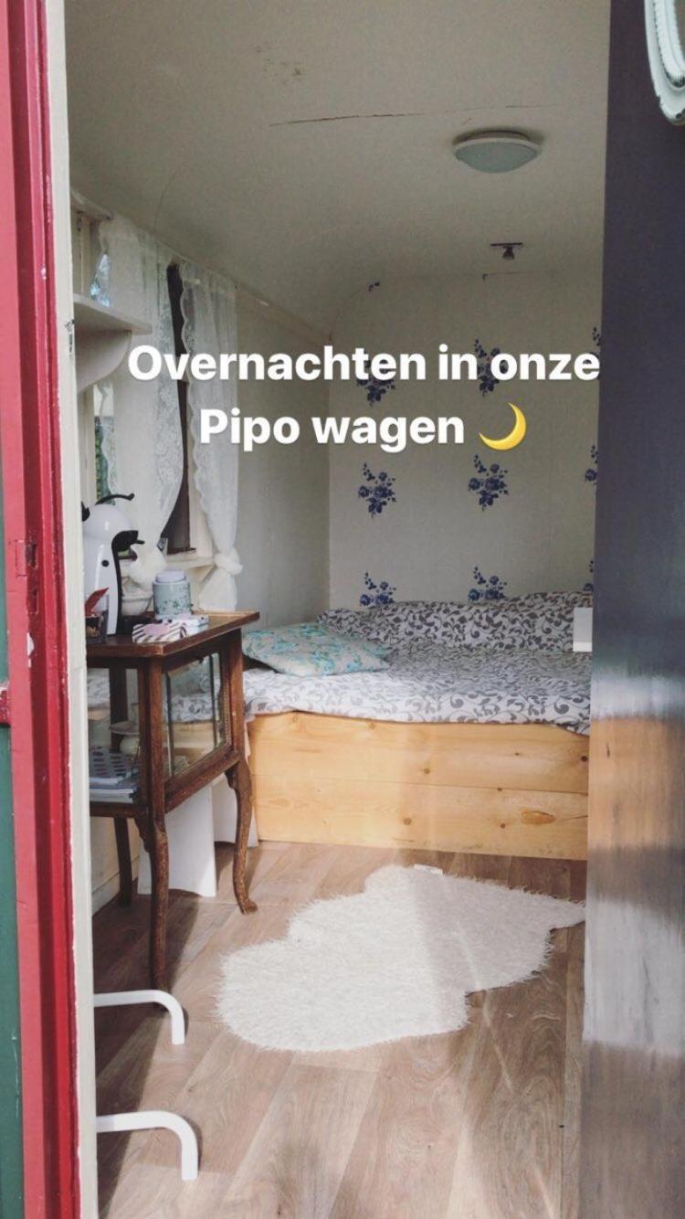 B&B boerderij rust, in pipowagens!, photo 27