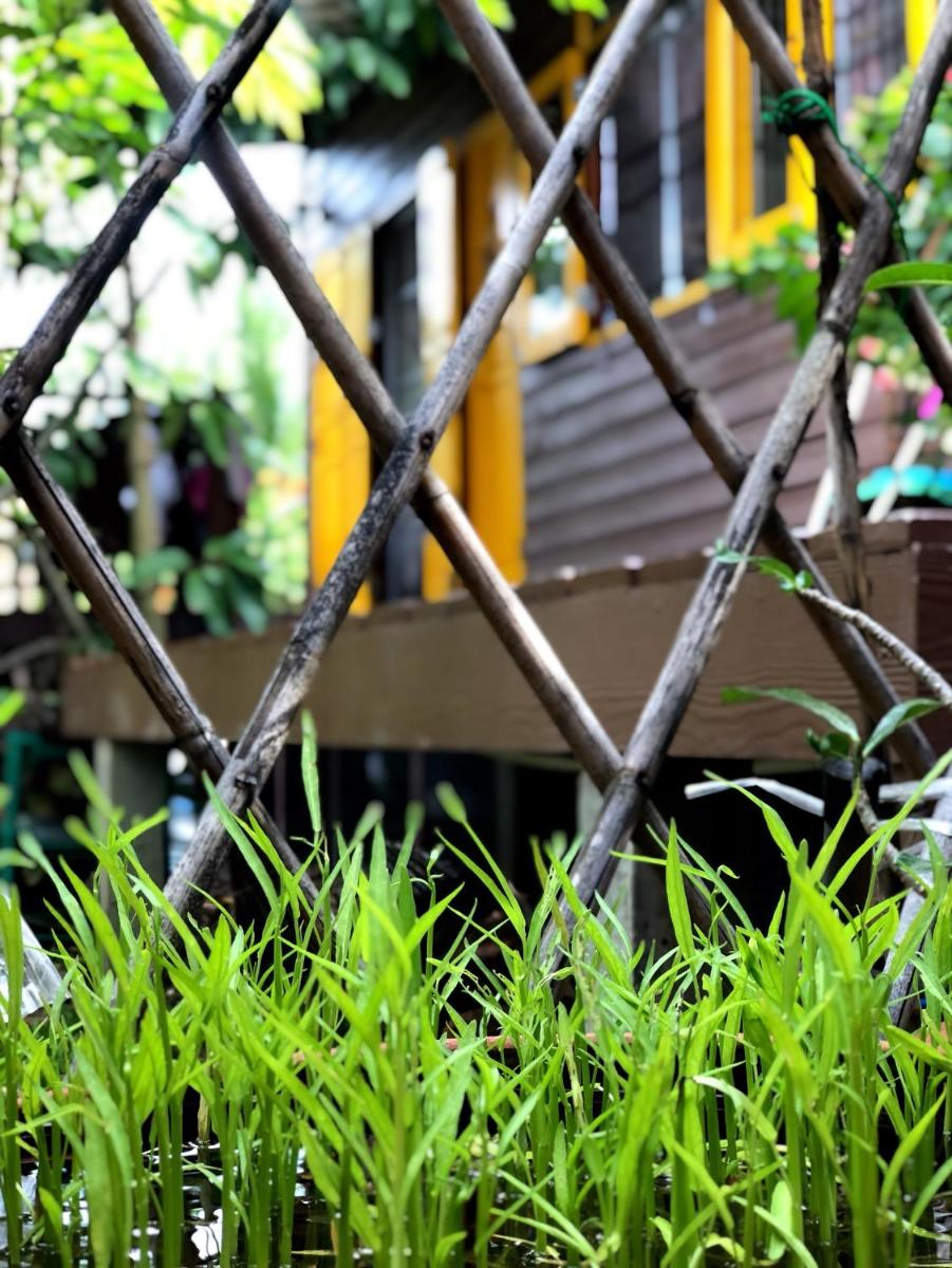 Phor Kub Mae Homestay