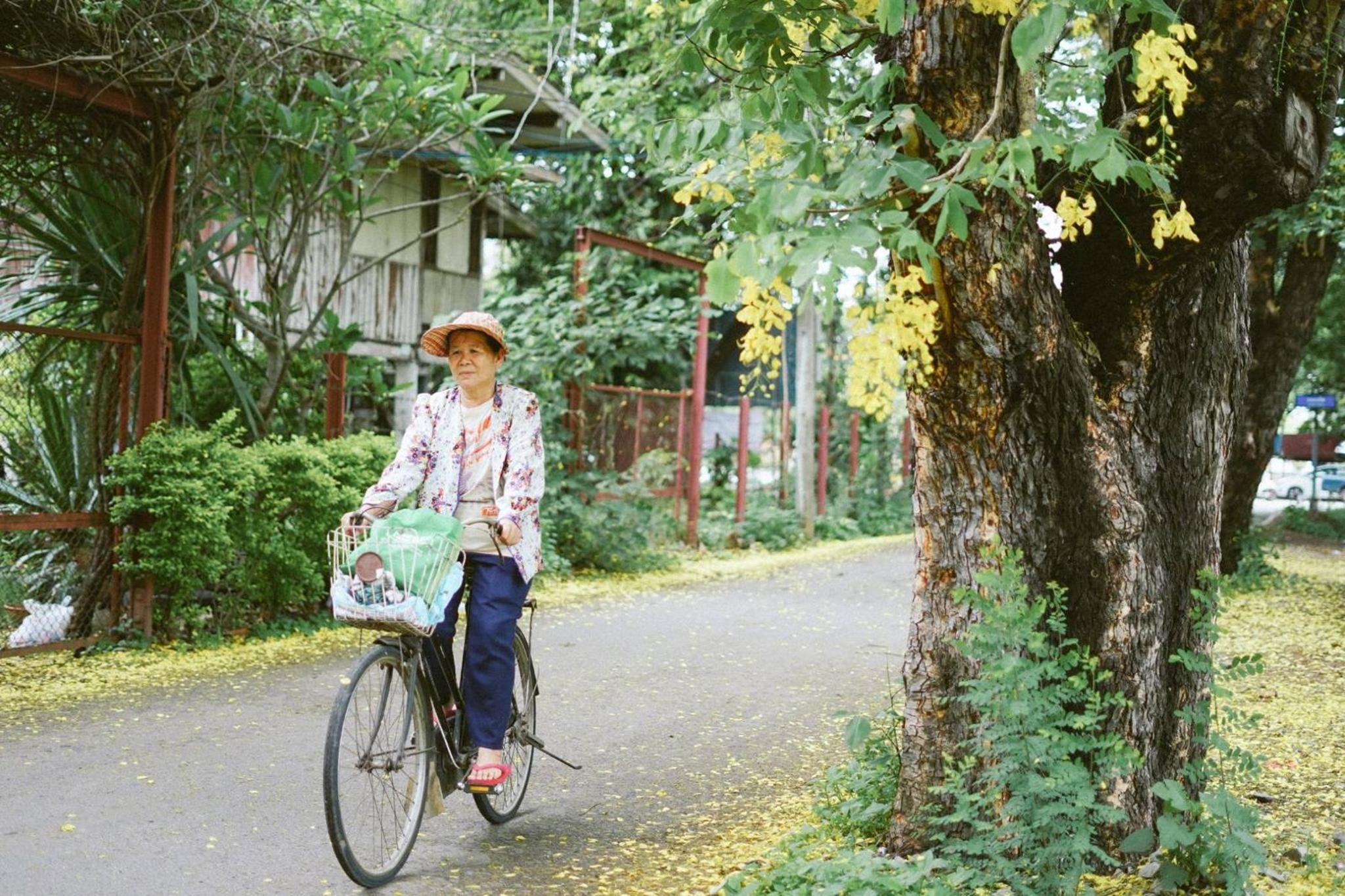 human