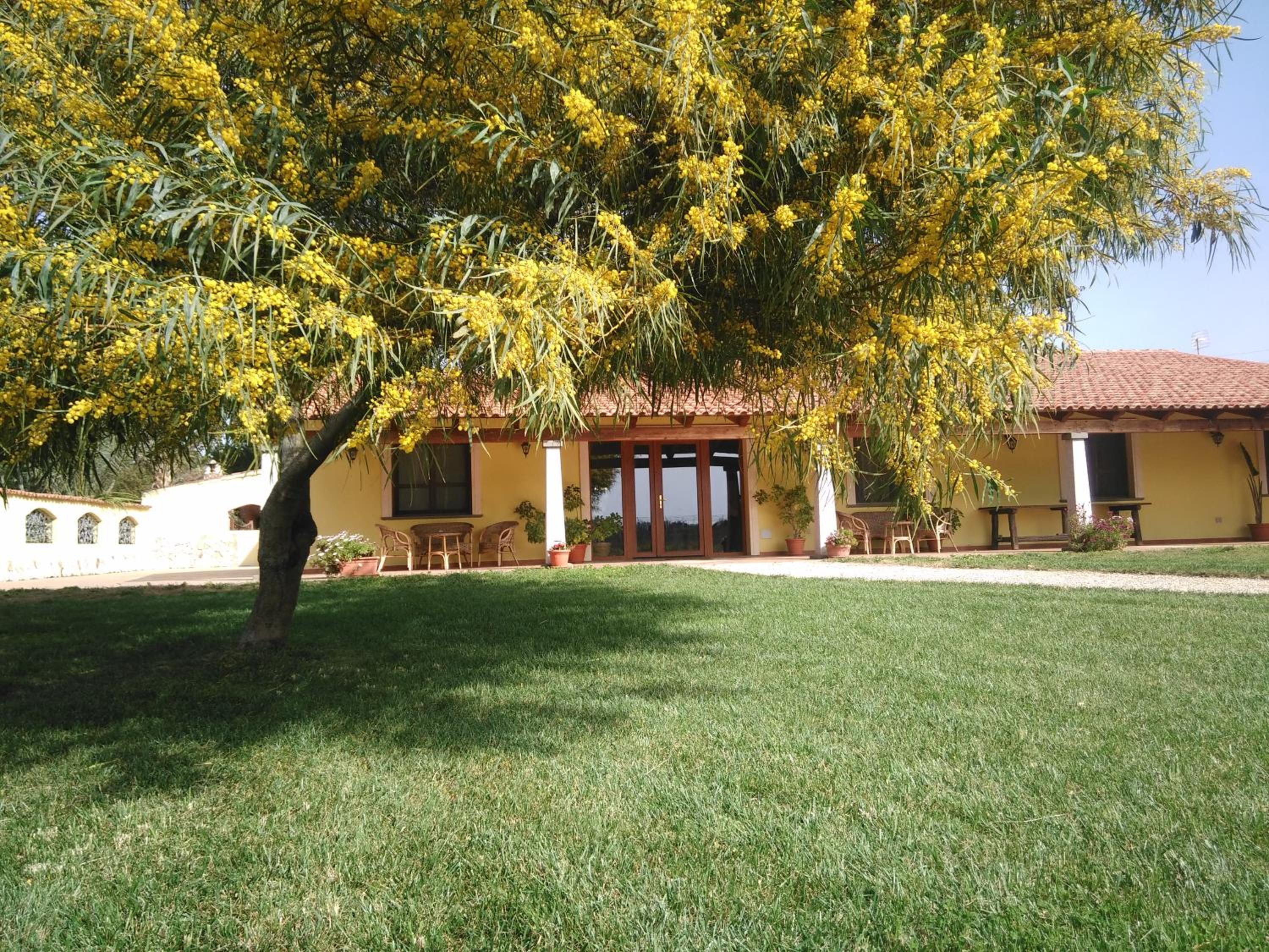 Agriturismo la Mimosa view 5