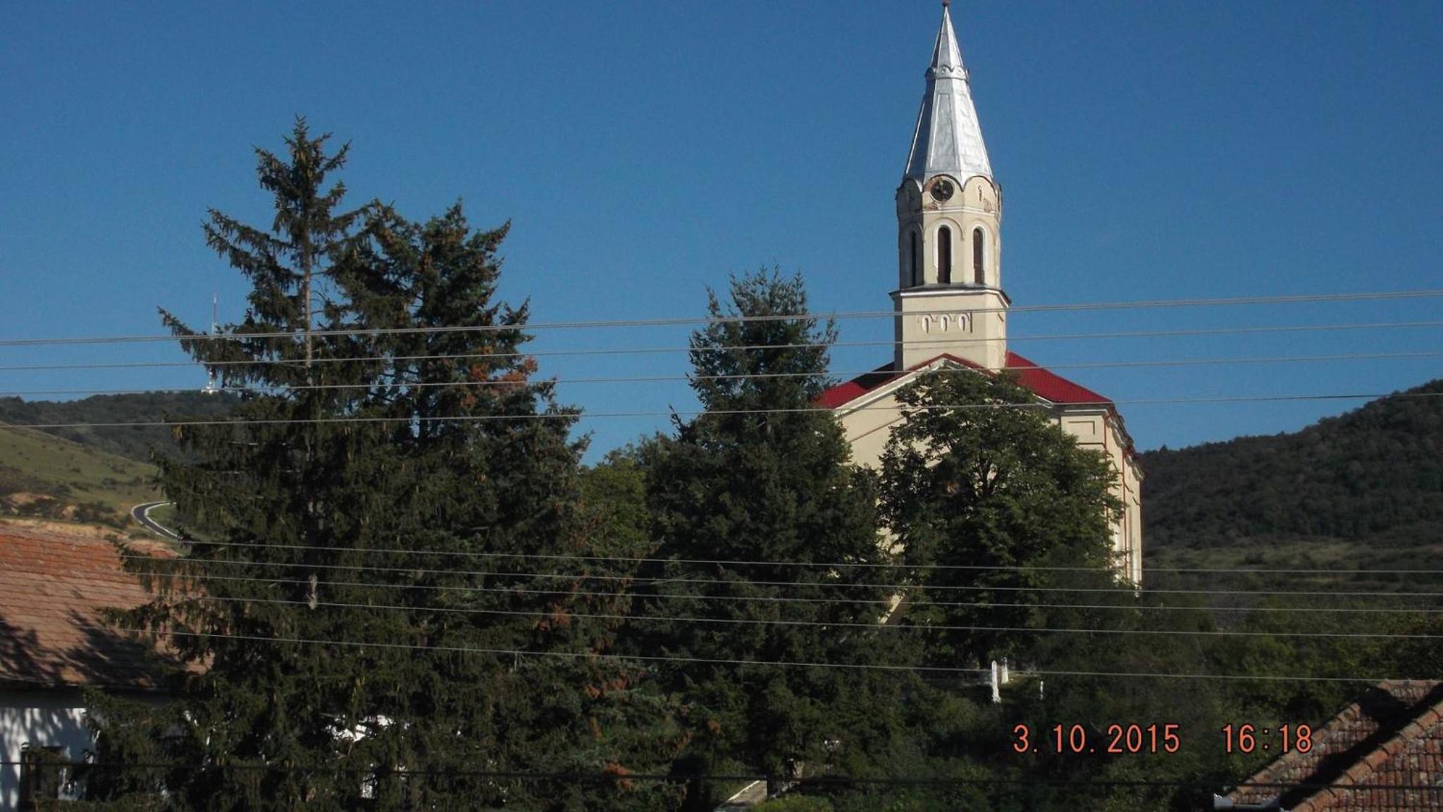 Photo 56