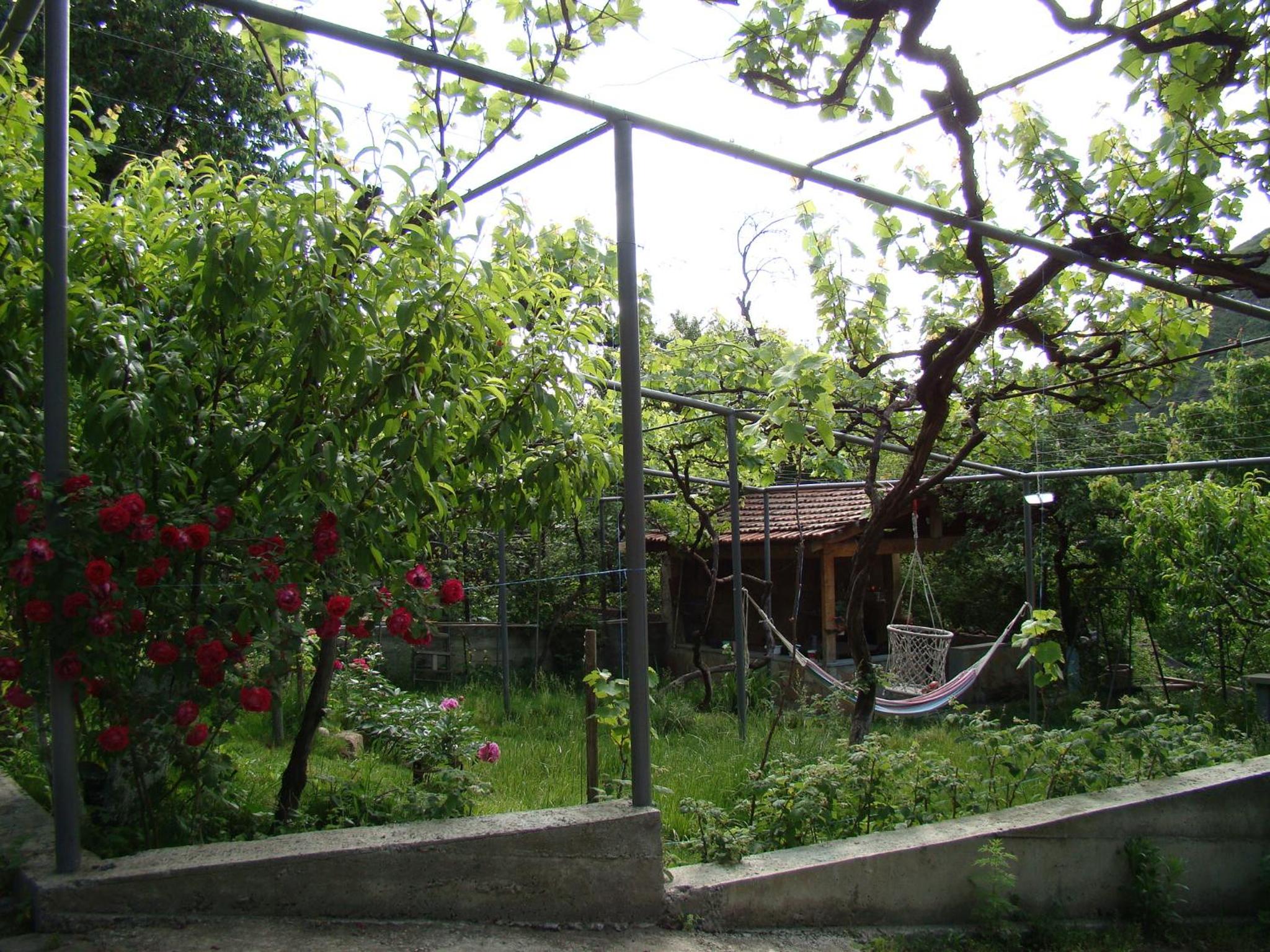 Photo 44