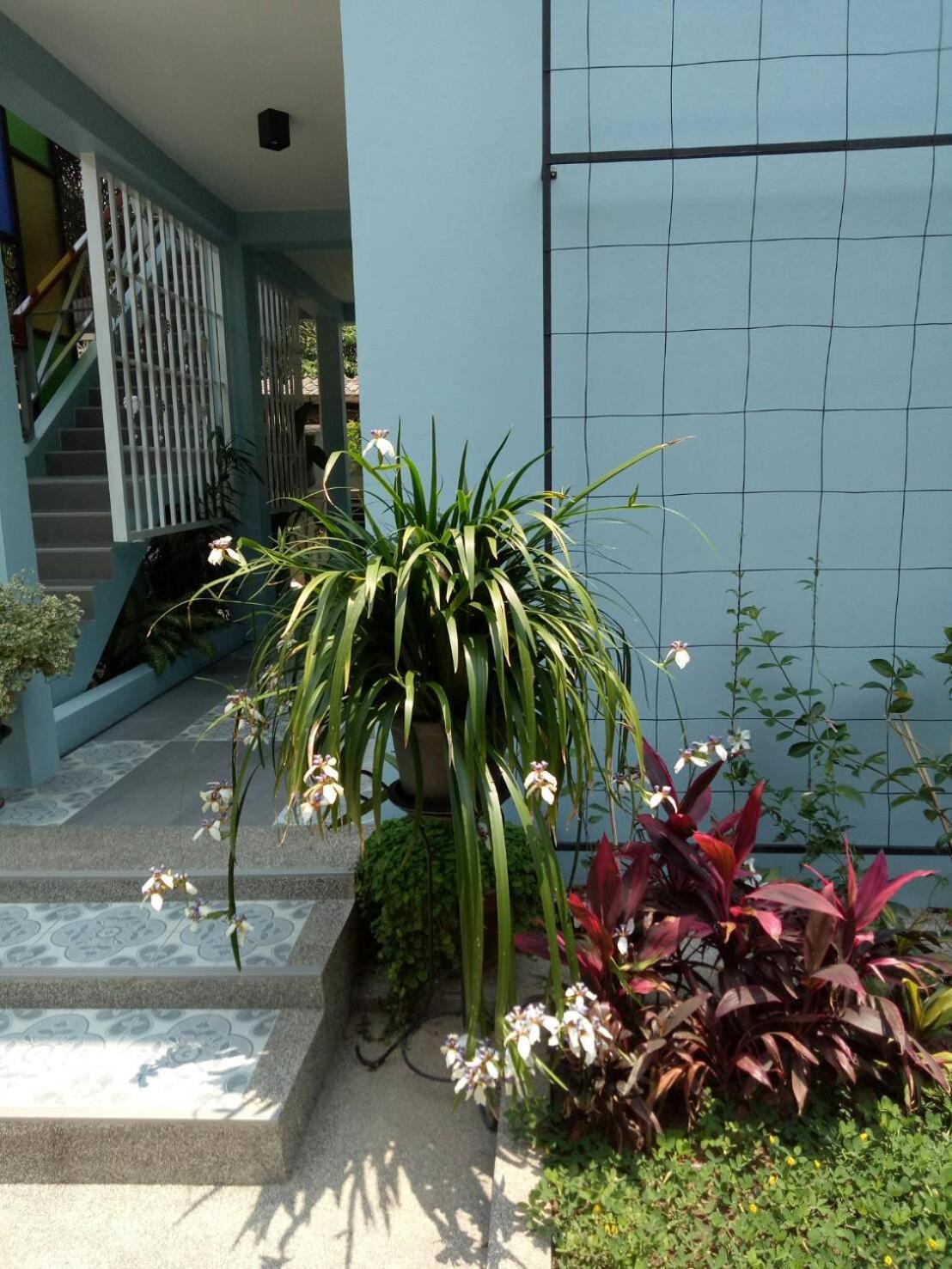 Baan Jaru