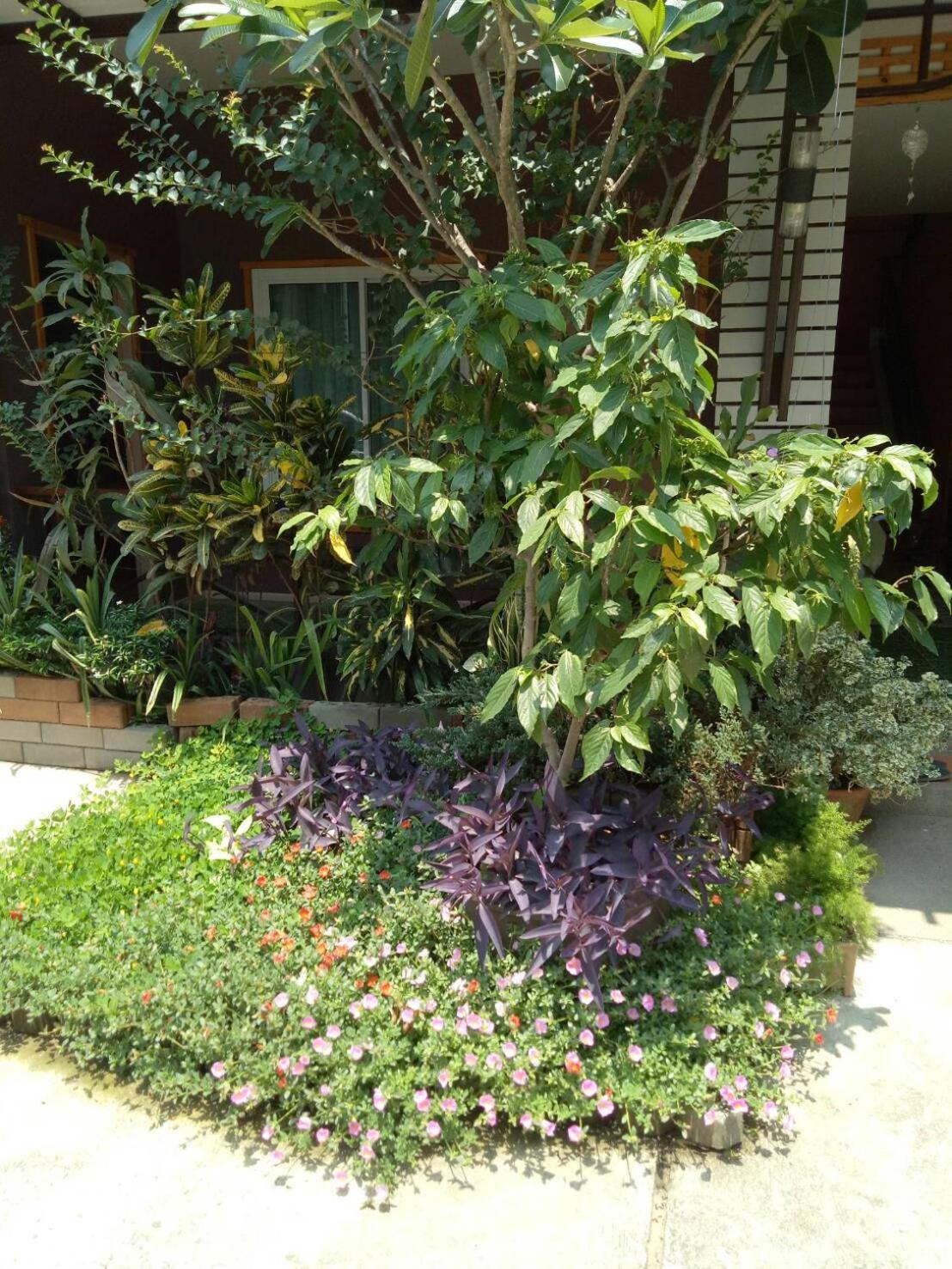 Baan Jaru