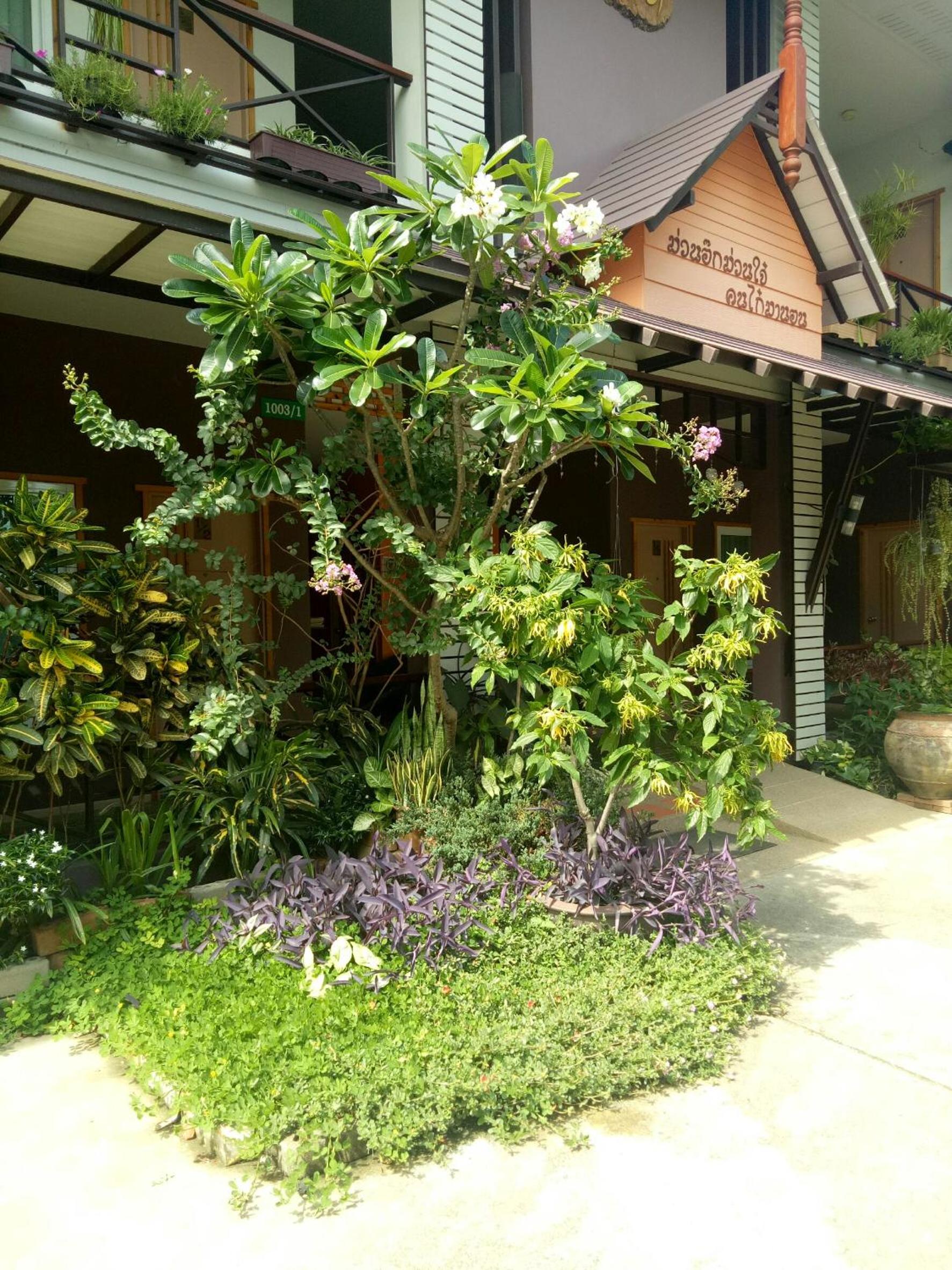 Baan Jaru