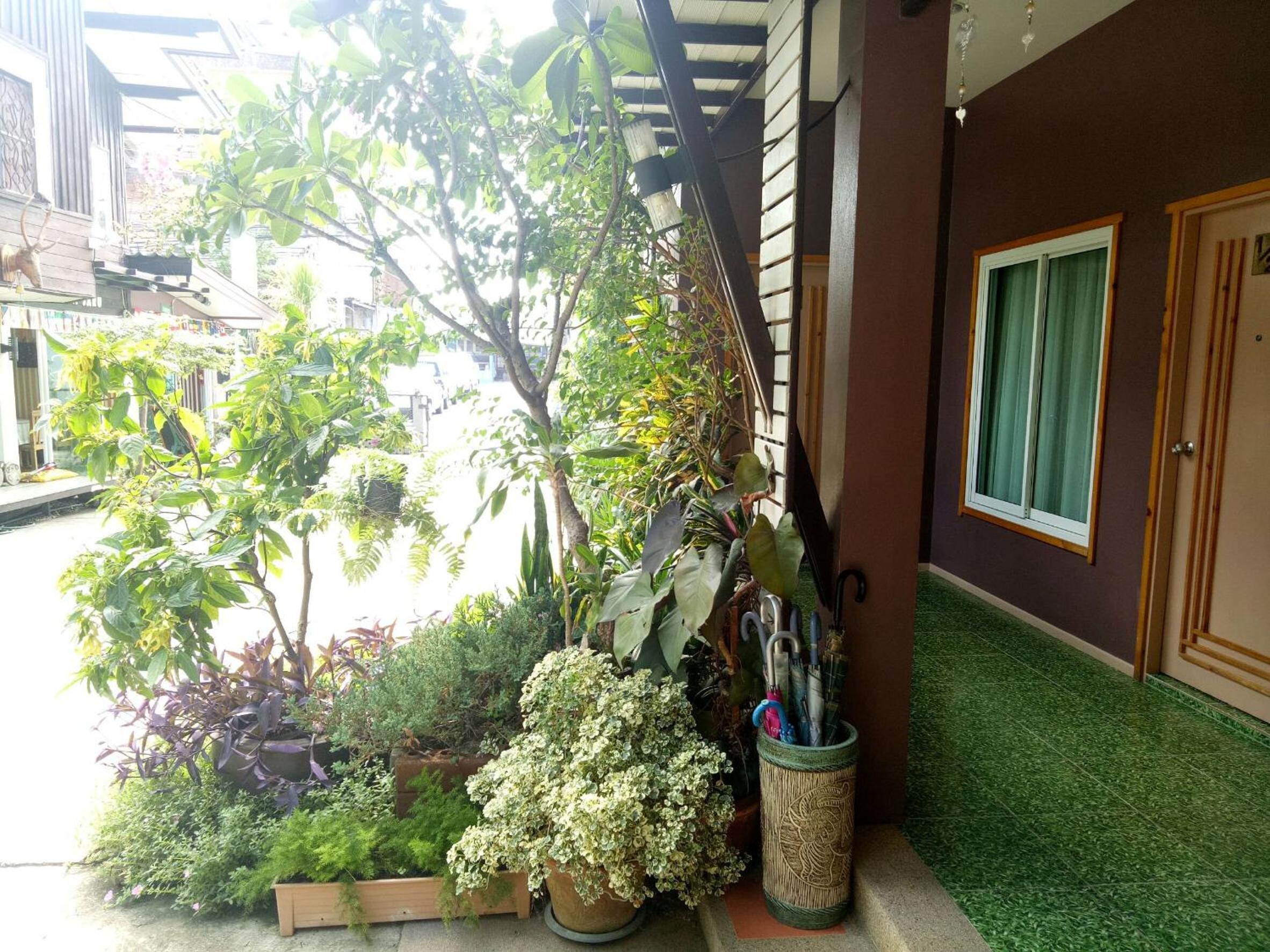 Baan Jaru