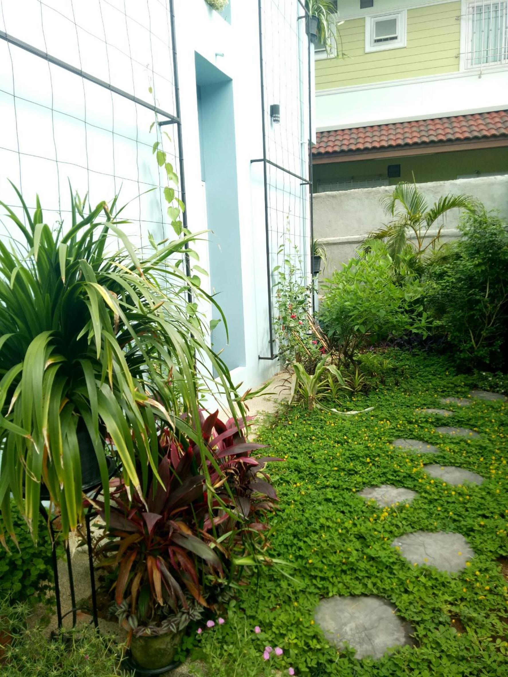 Baan Jaru