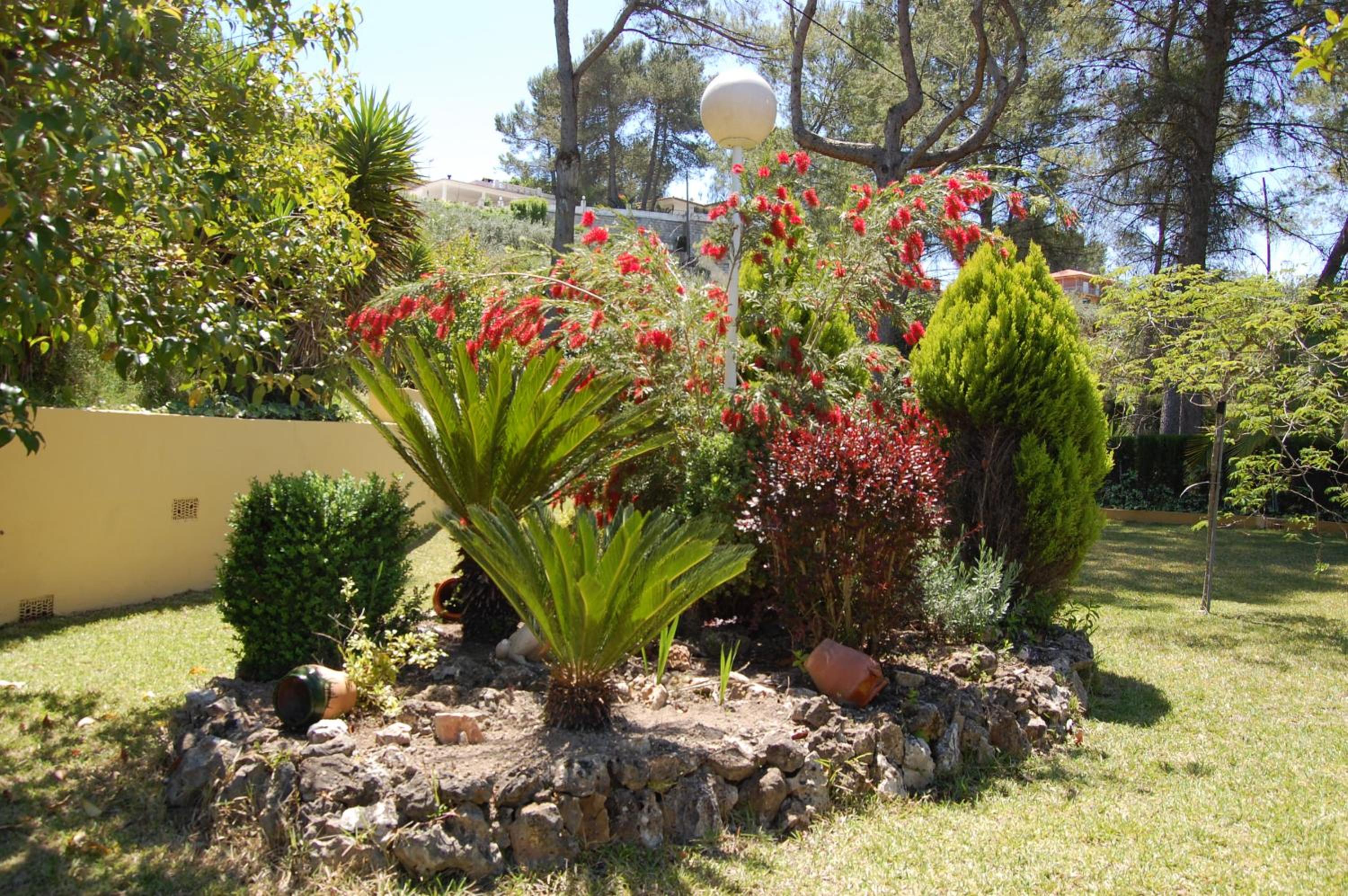 Photo 26