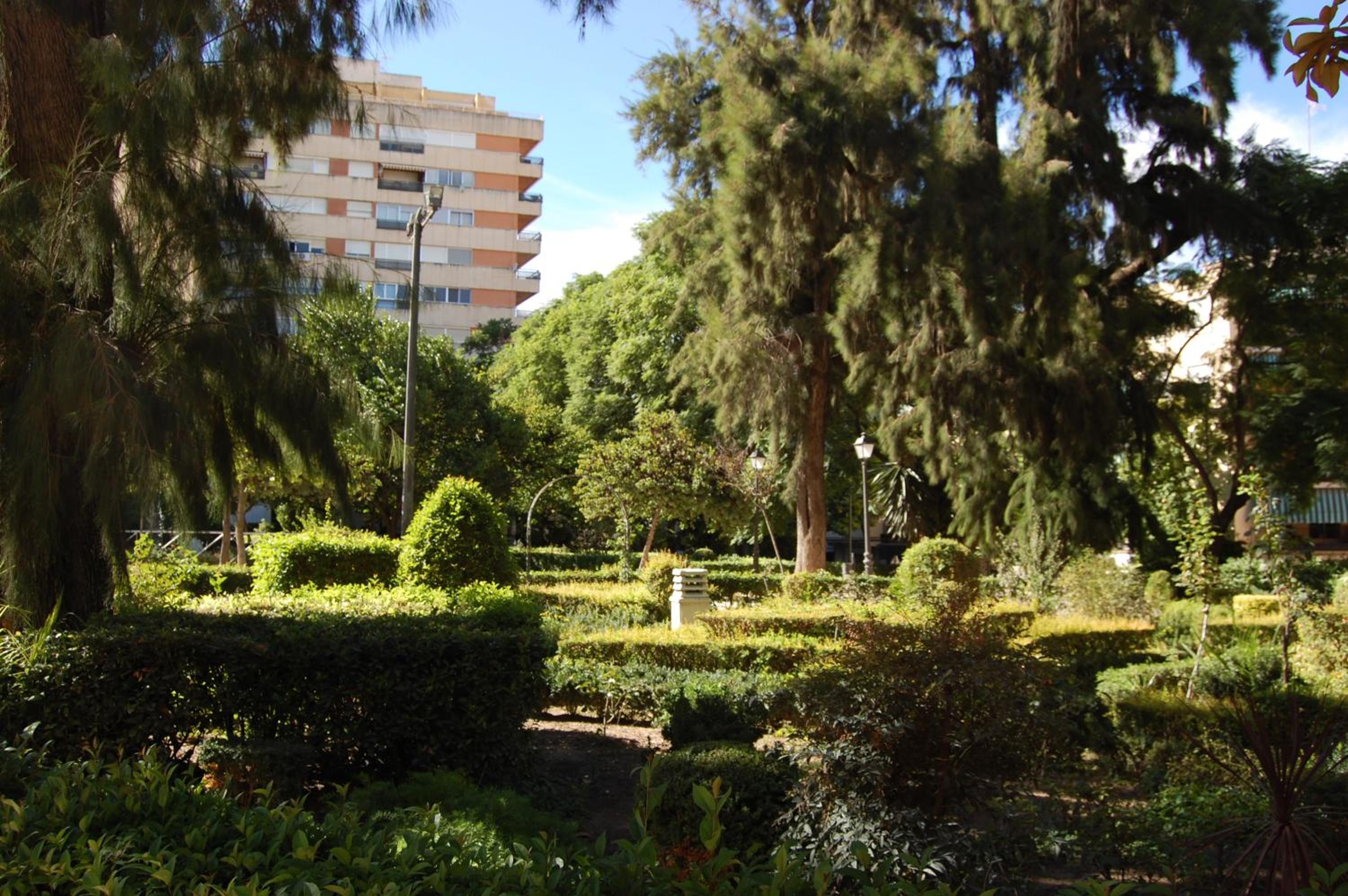 Photo 33