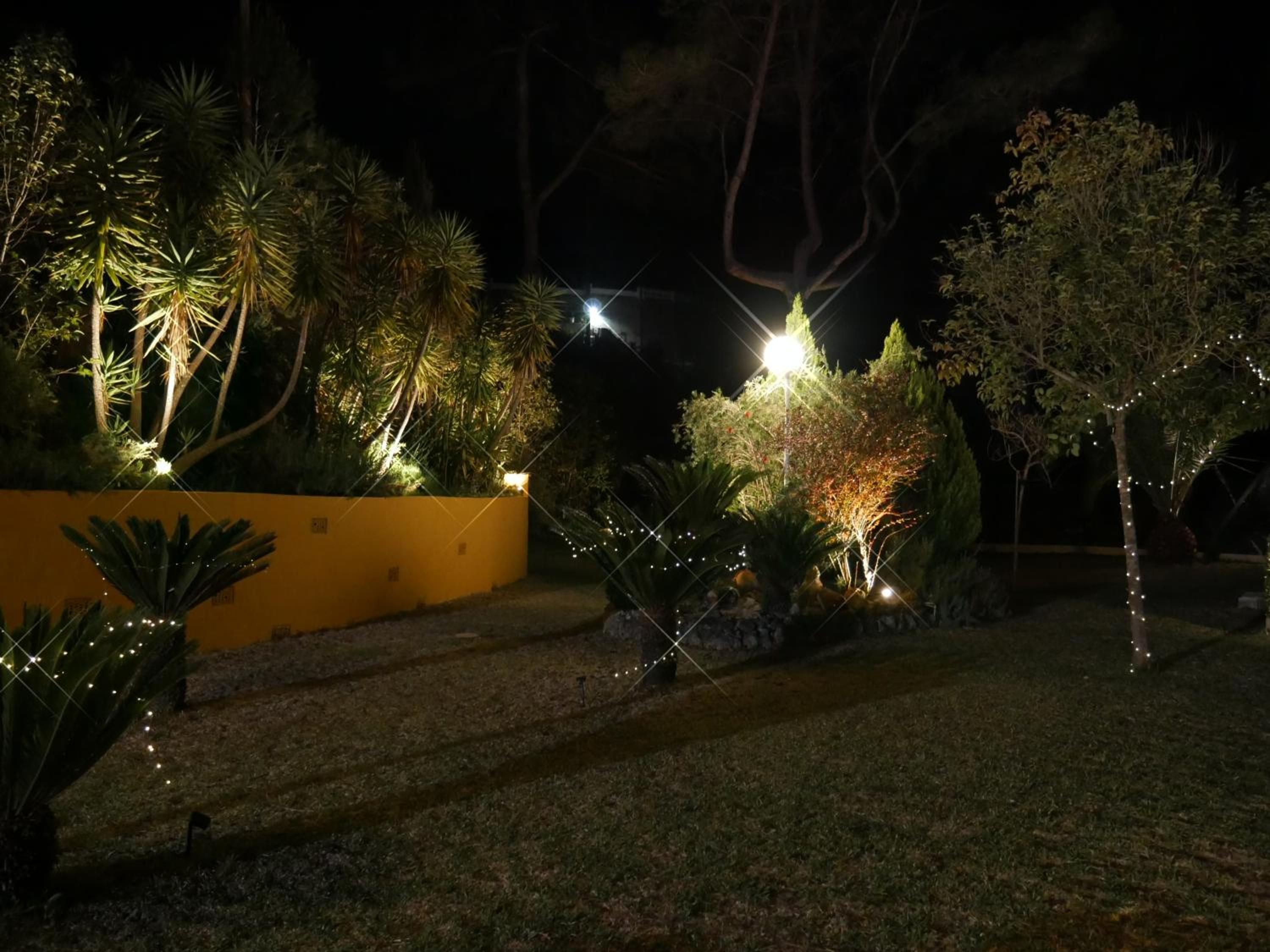 Photo 25