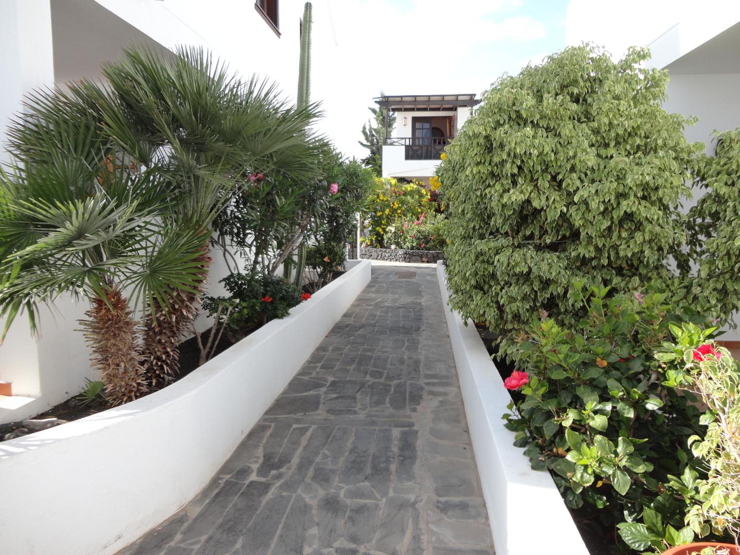 Casa Cariño view 4