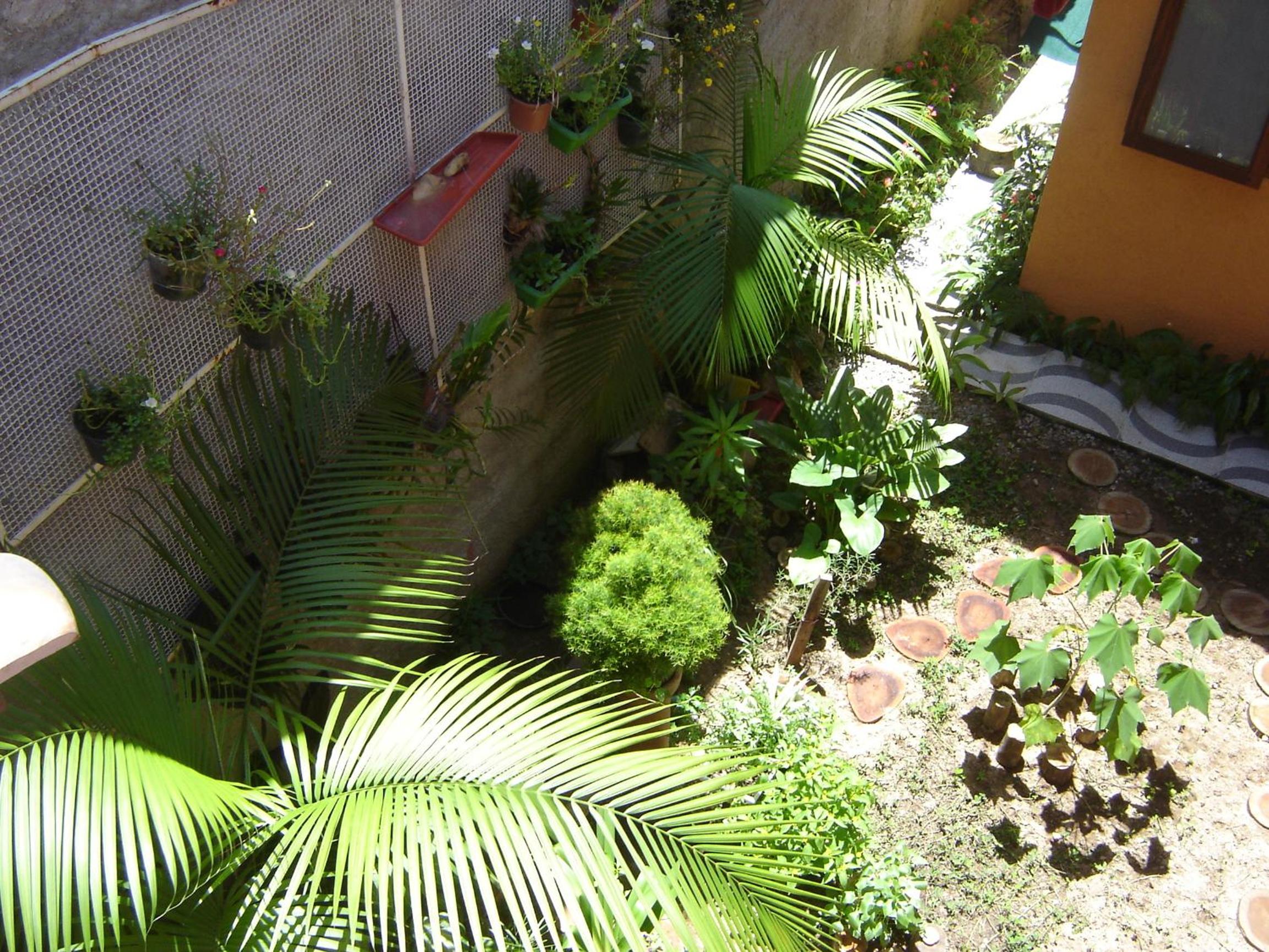Photo 28