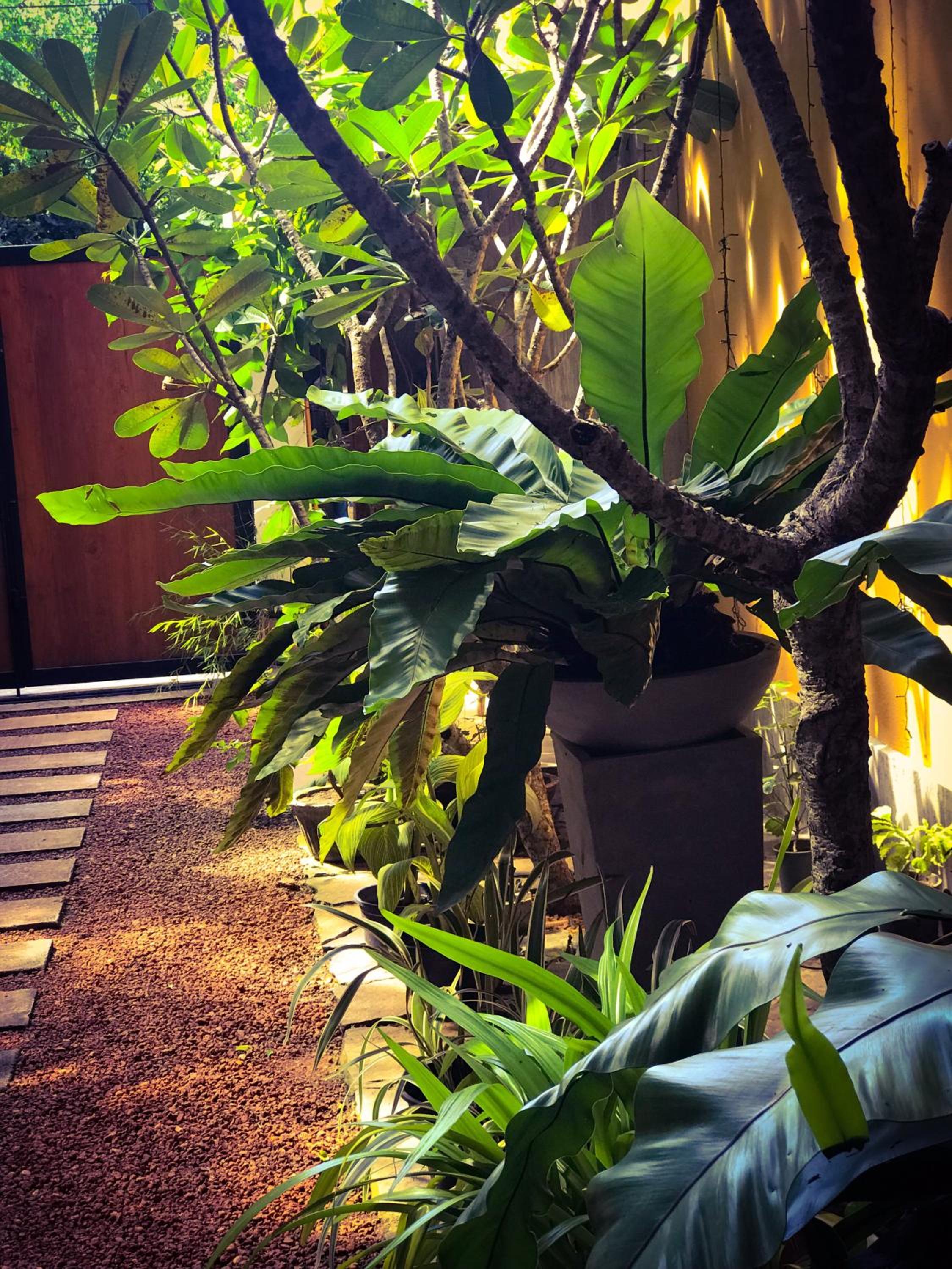 Sayura House