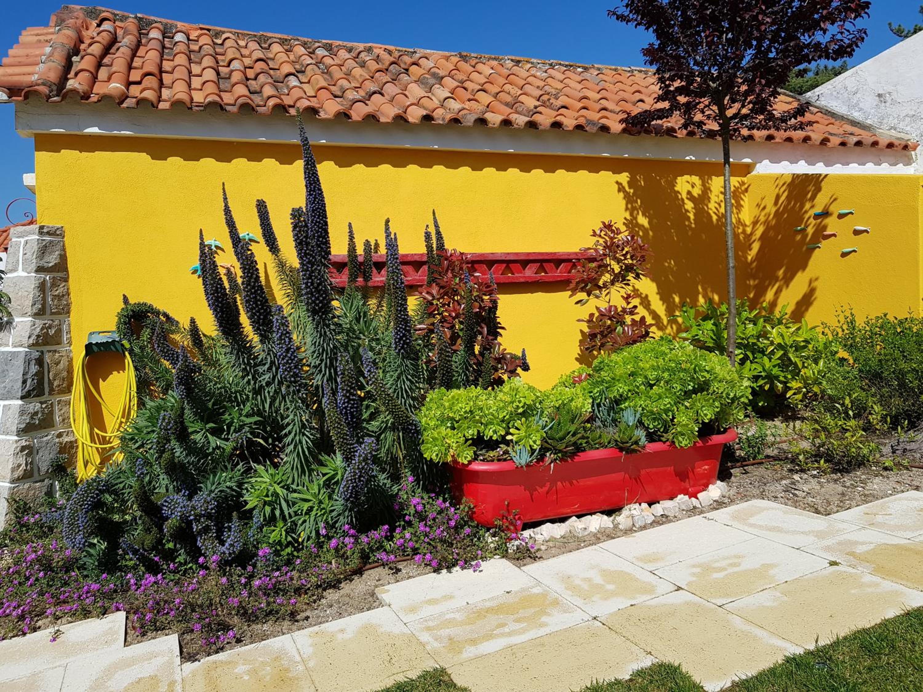 Photo 21