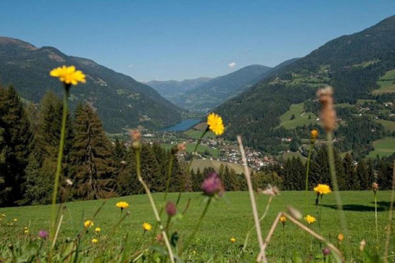 Pension Almhof