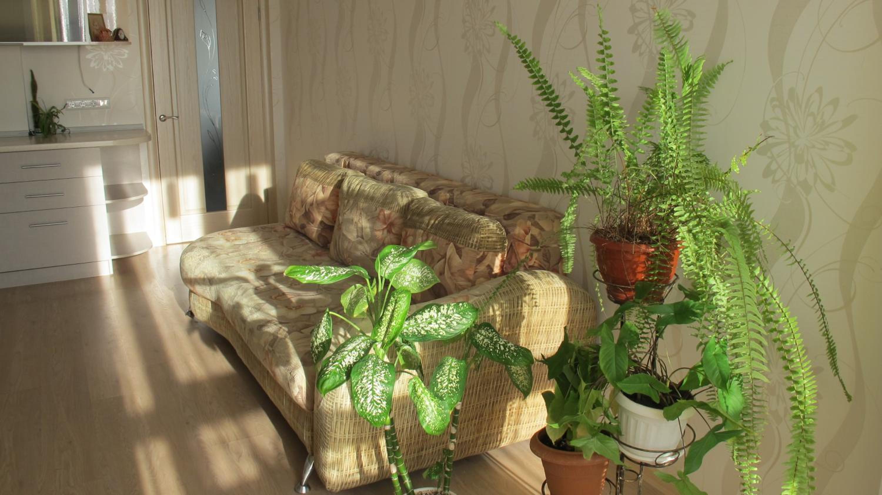 Apartment "Ostrova" view 4