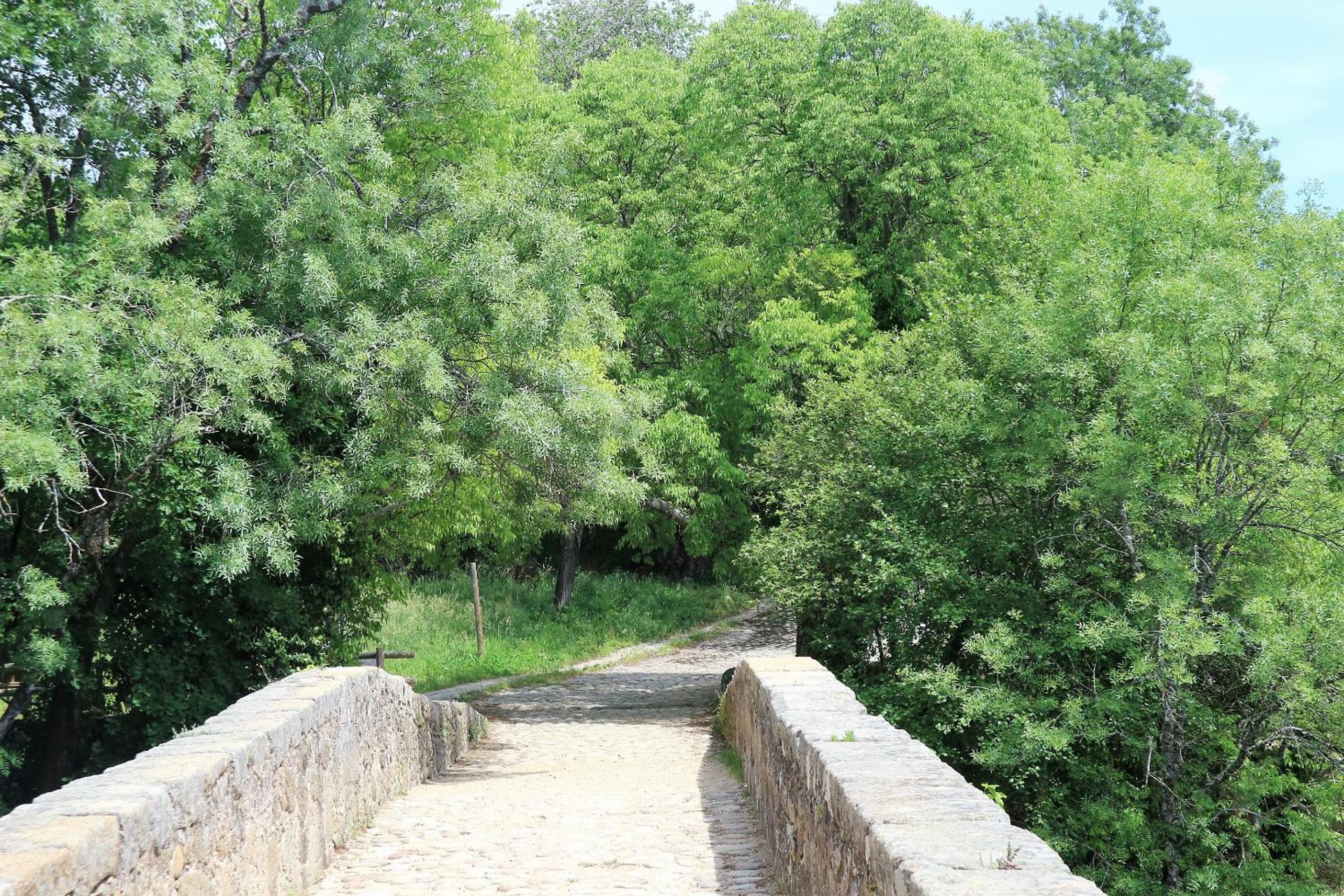 La Garzona view 2