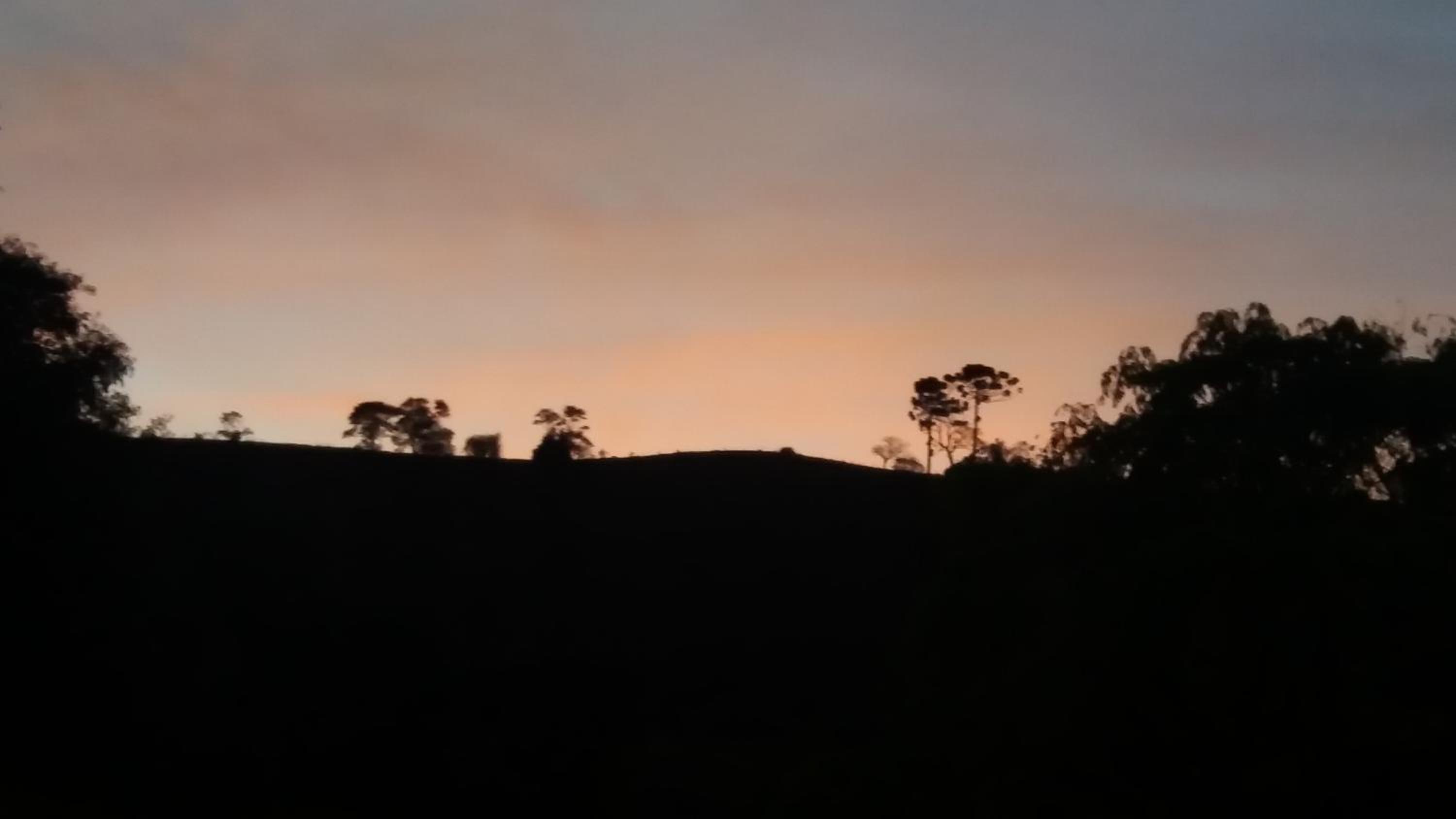 Photo 199