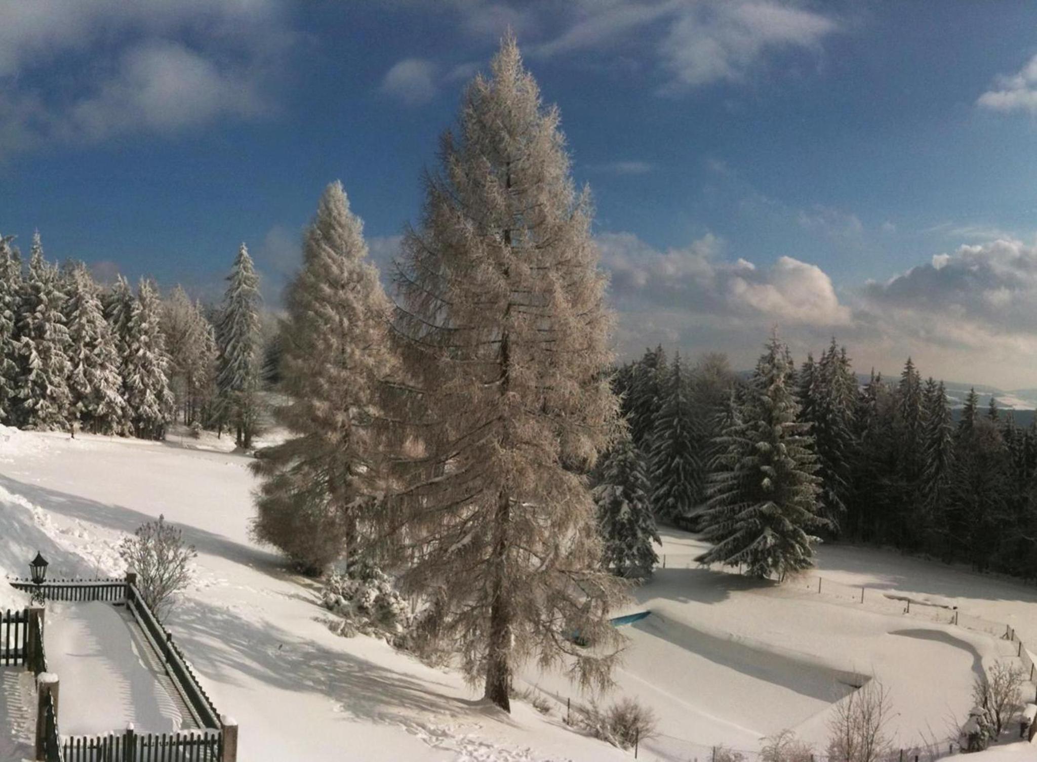 Gasthof Waldschenke