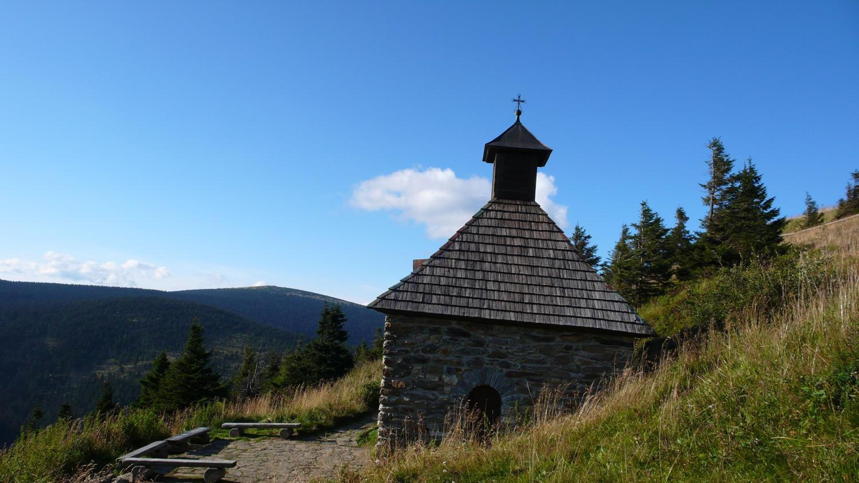 Photo 41