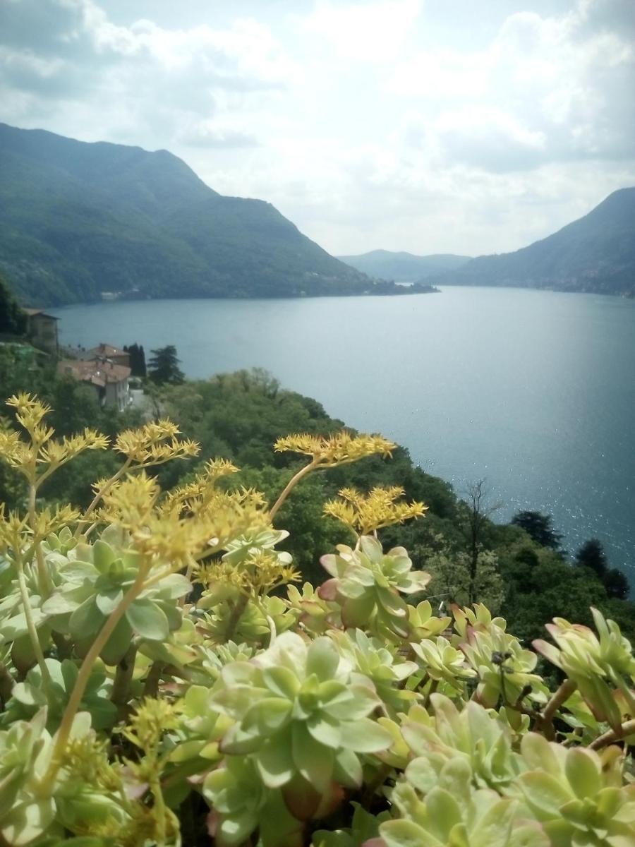 Casa del Borgo photo 4