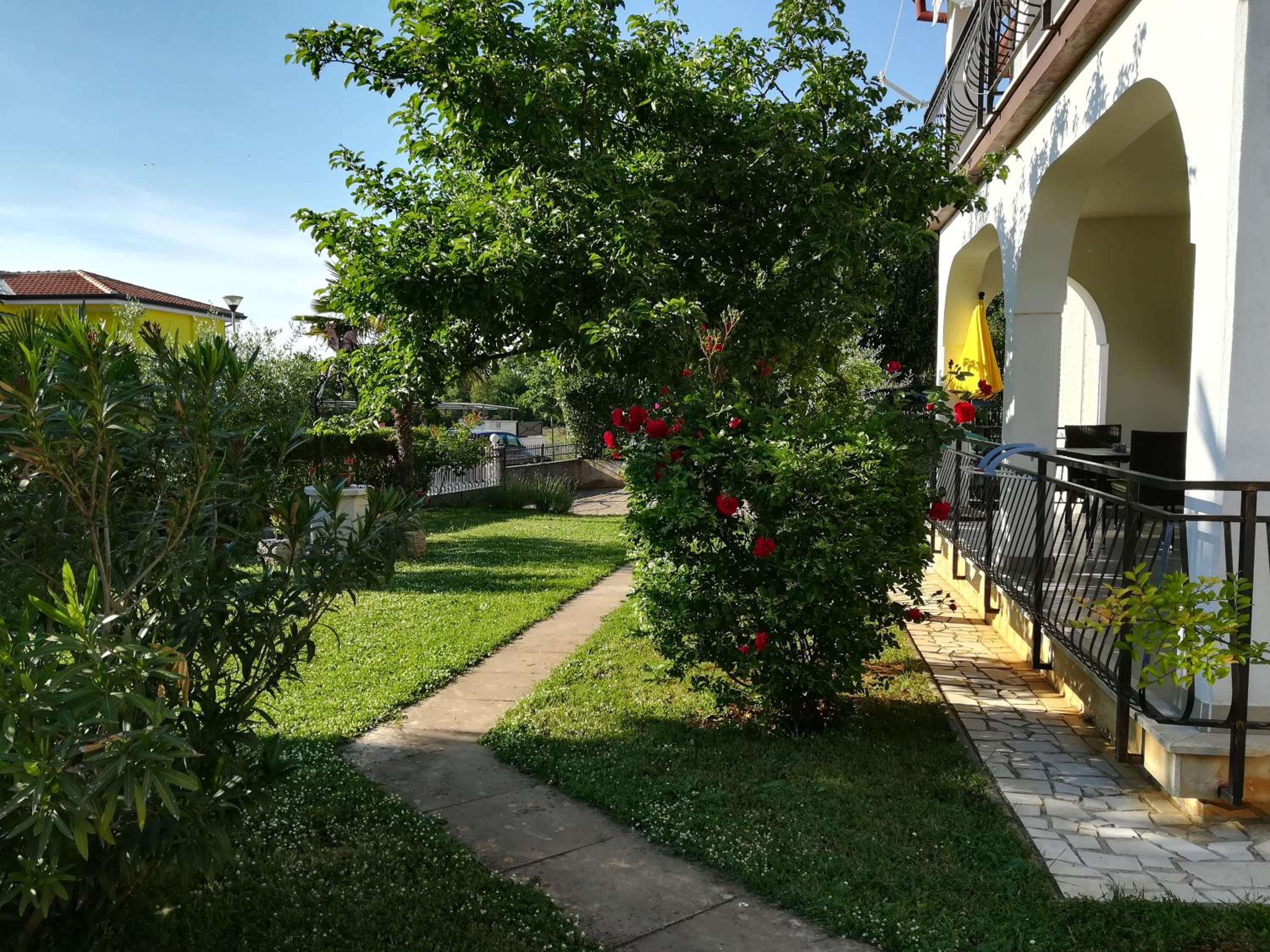 Photo 16