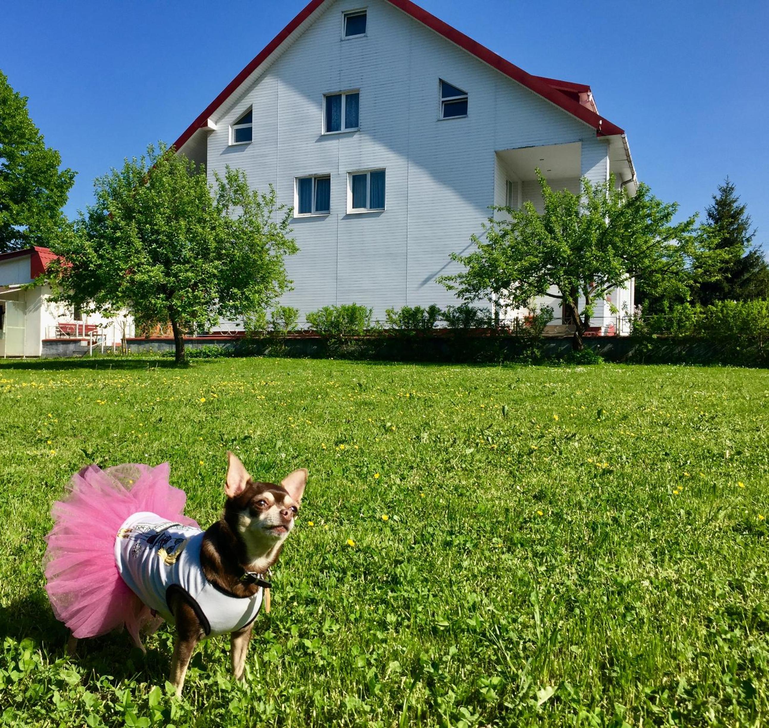 Photo 85