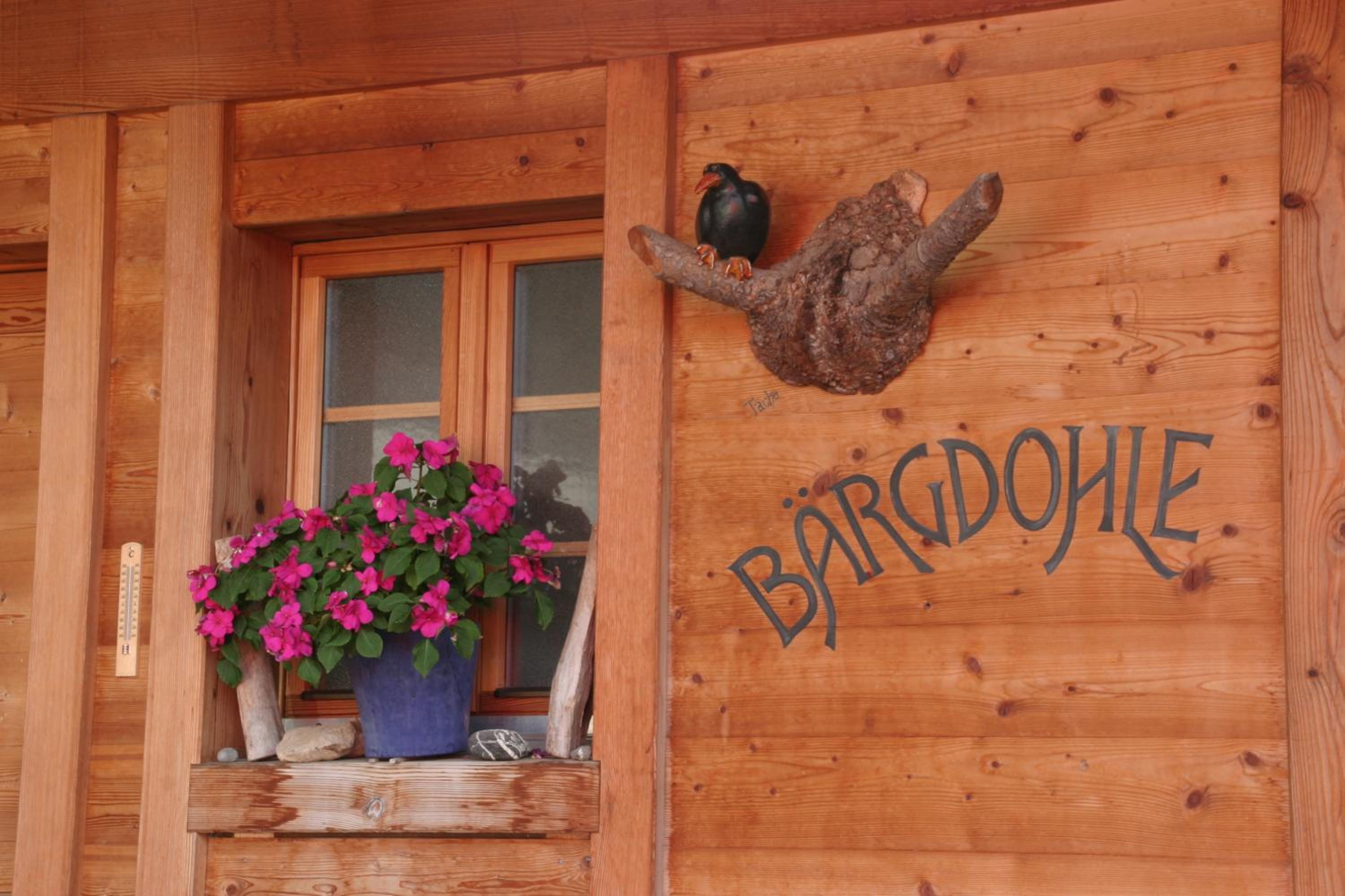 Bergdohle view 2