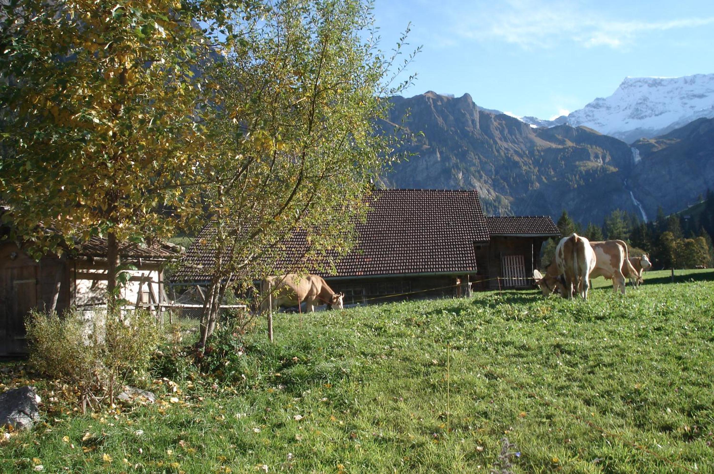 Photo 12