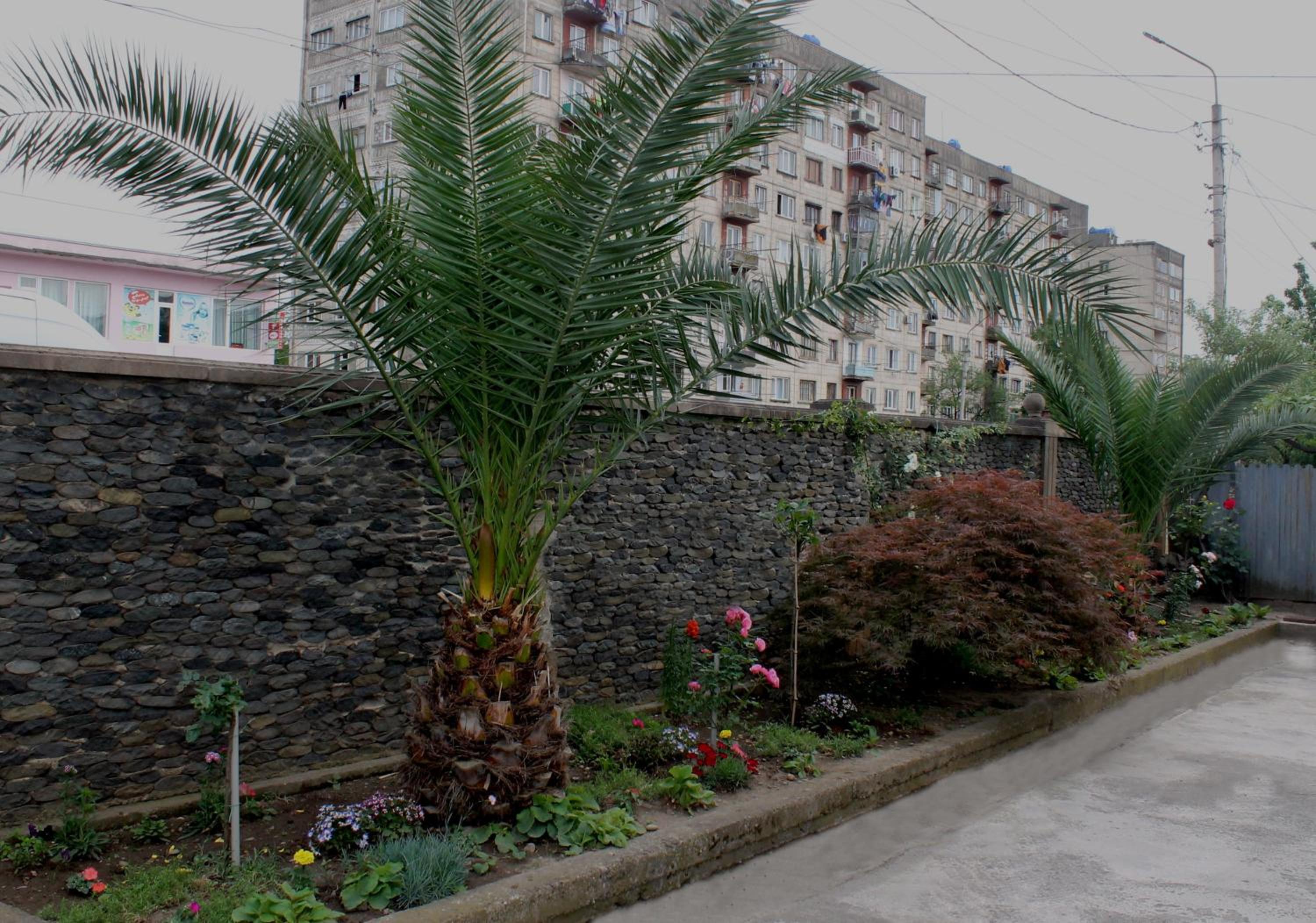 Photo 40
