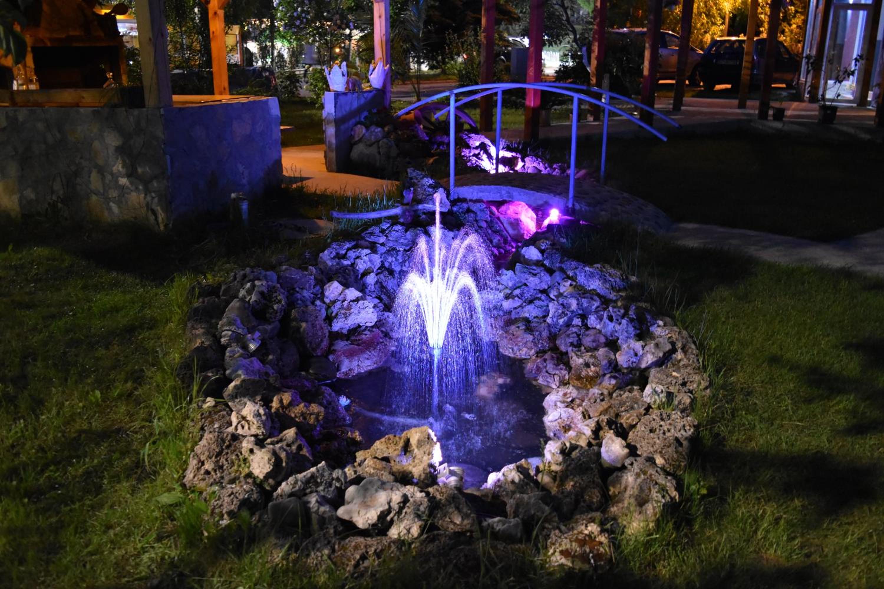 Photo 45