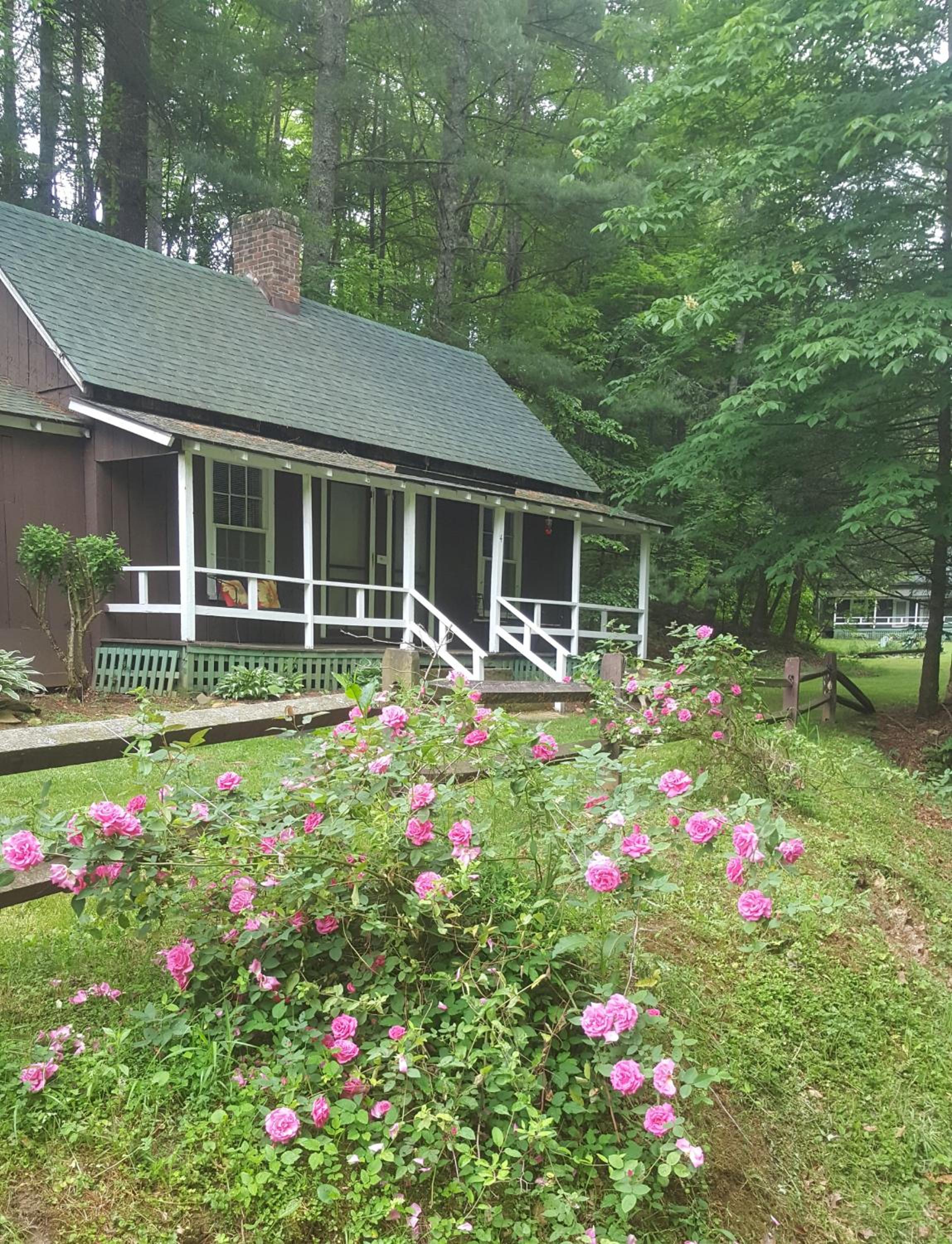 The Cabins at Healing Springs