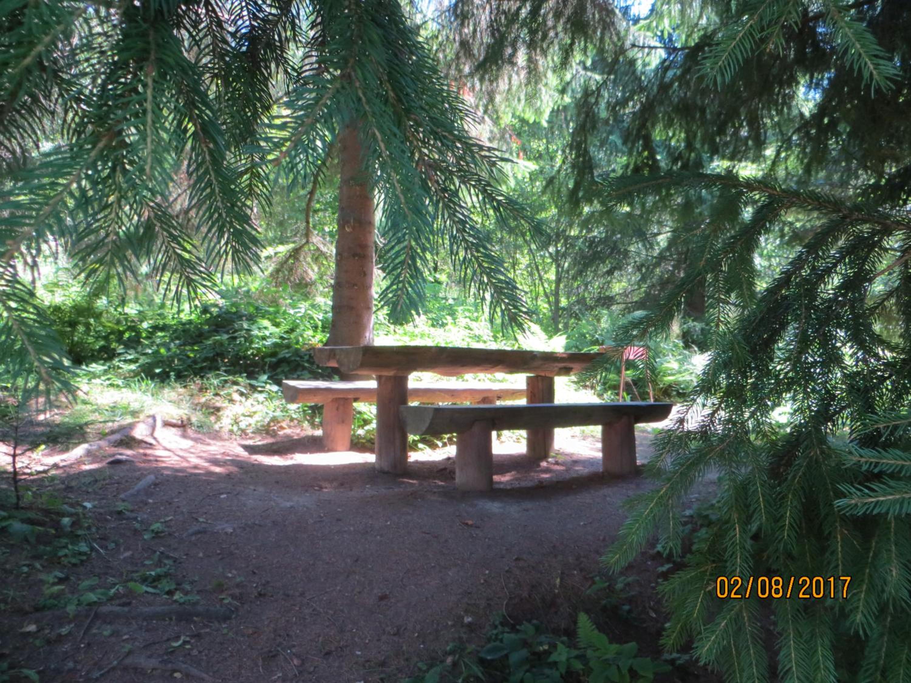 Photo 37