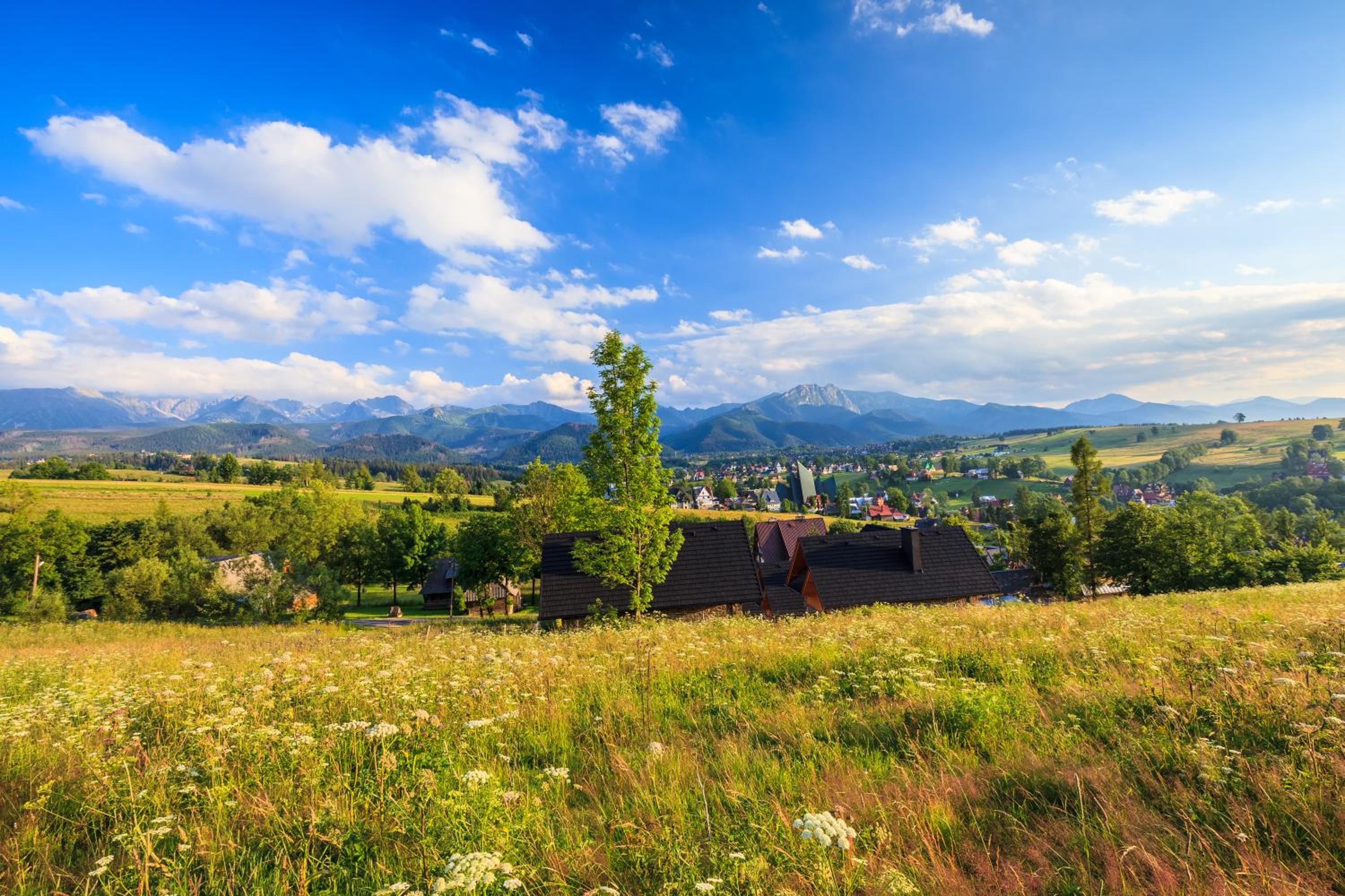 Domki Tatrzański Ogród Regional Houses Zakopane