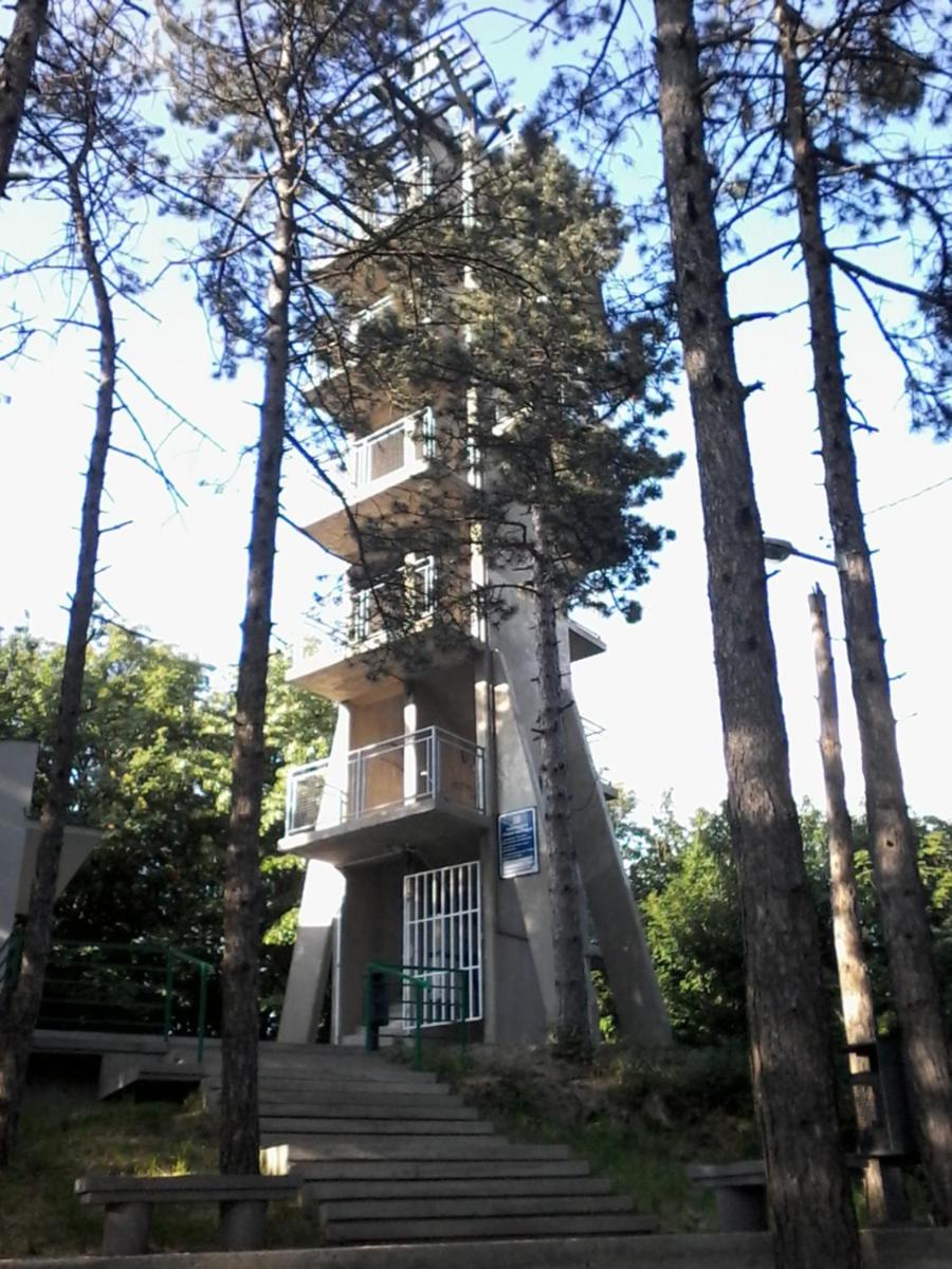 Photo 45