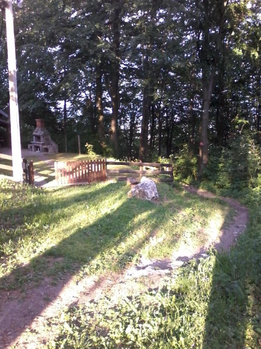 Photo 44