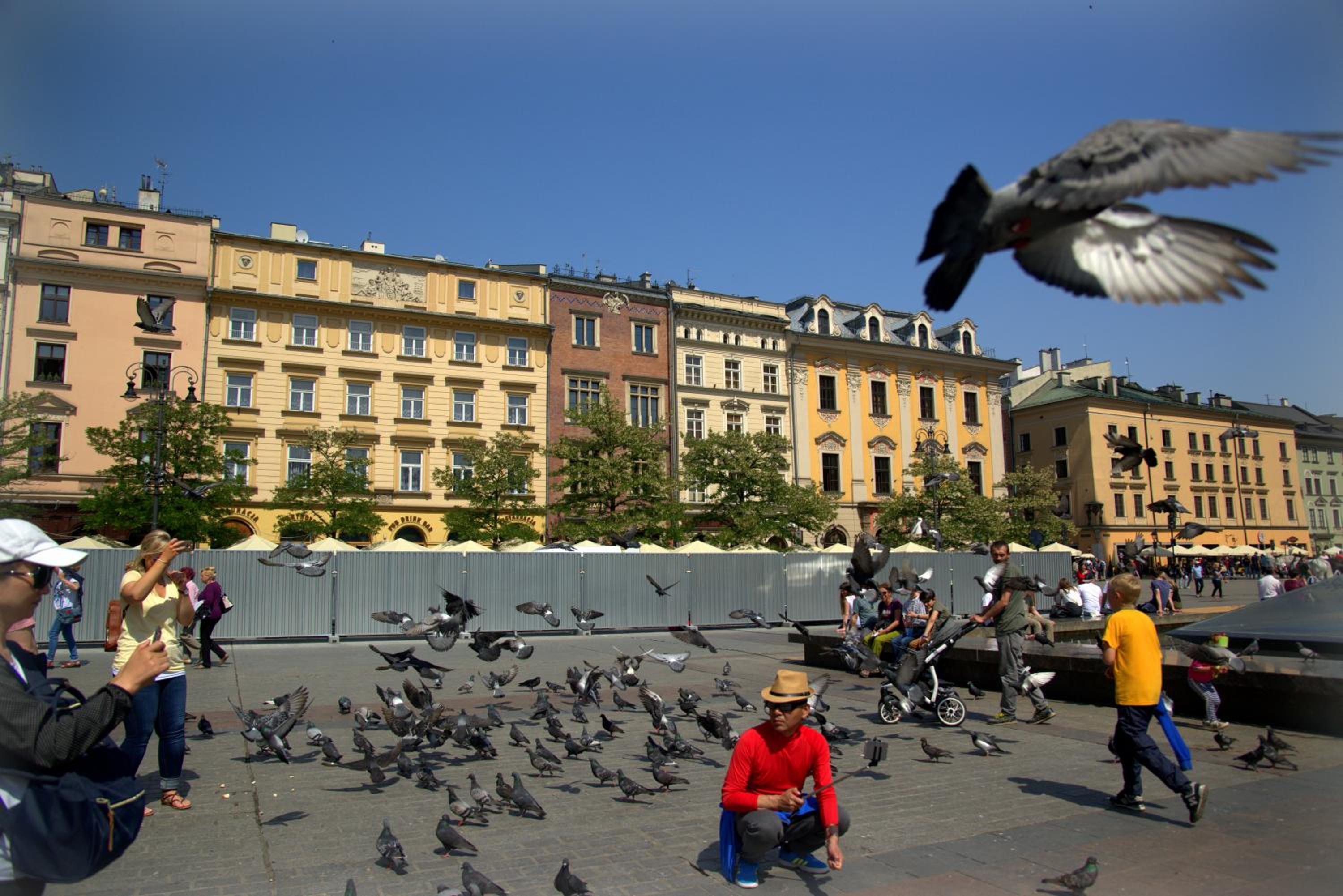 Photo 40