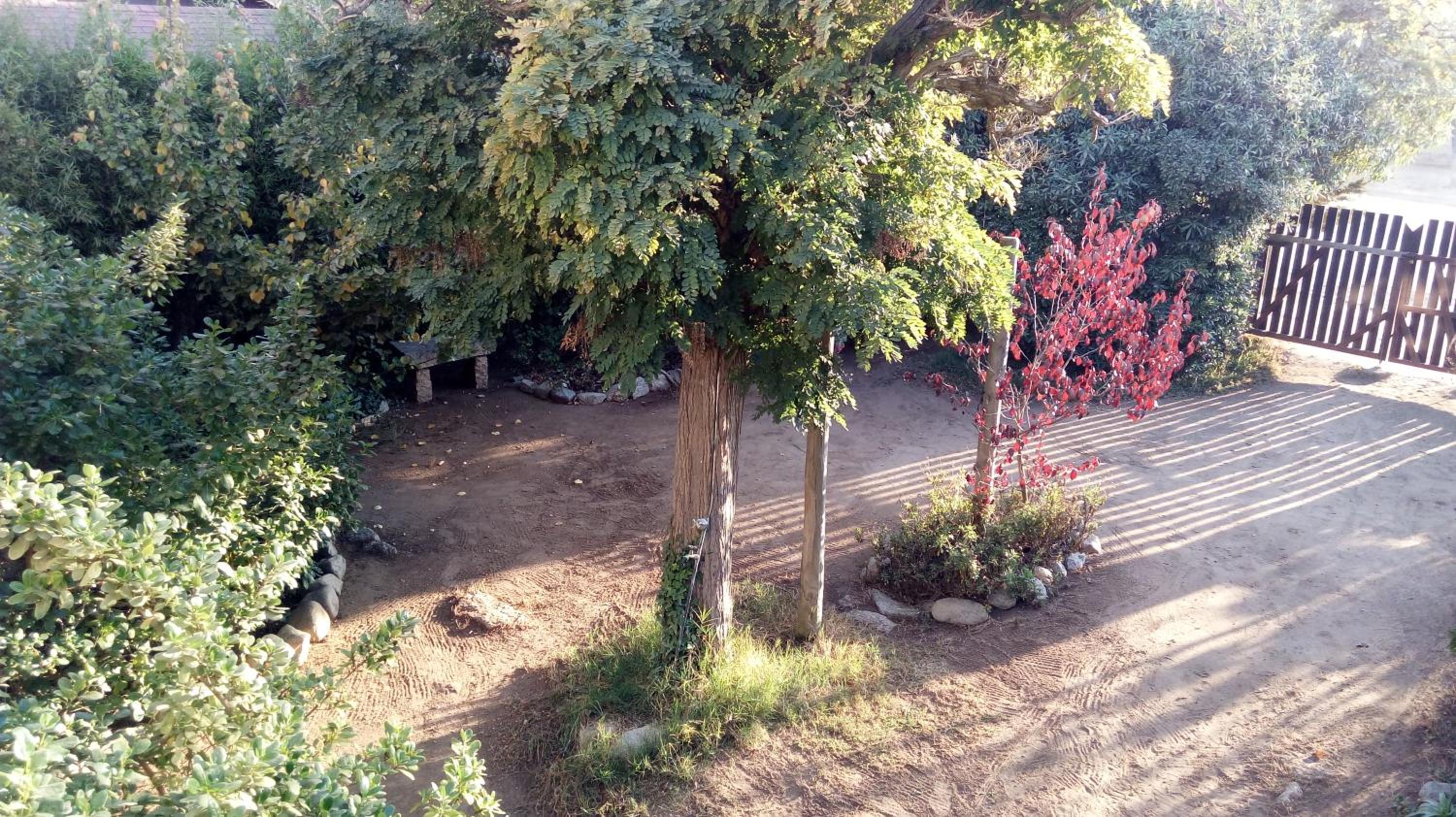 Algarrobo Suites
