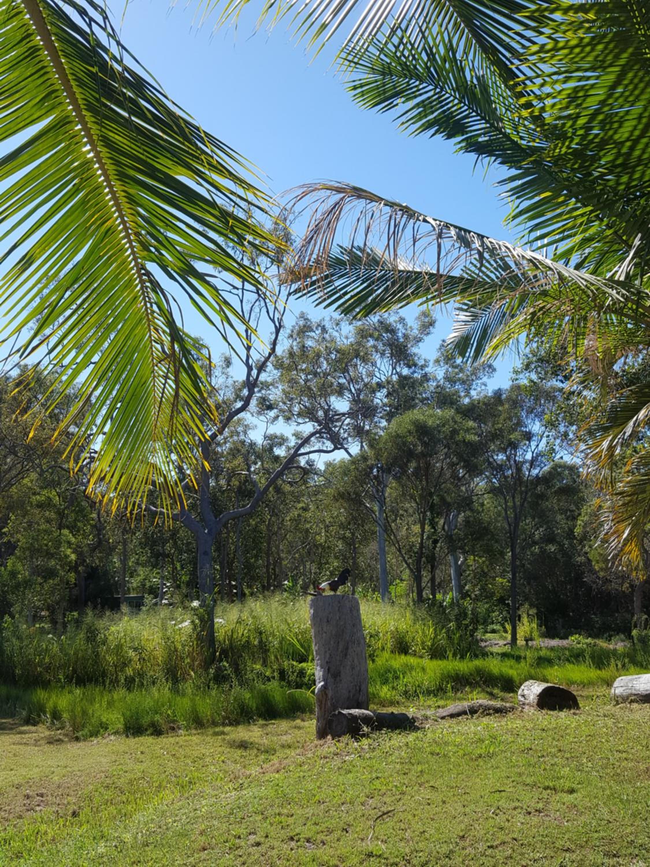 Yellow Cottage - bush and beach