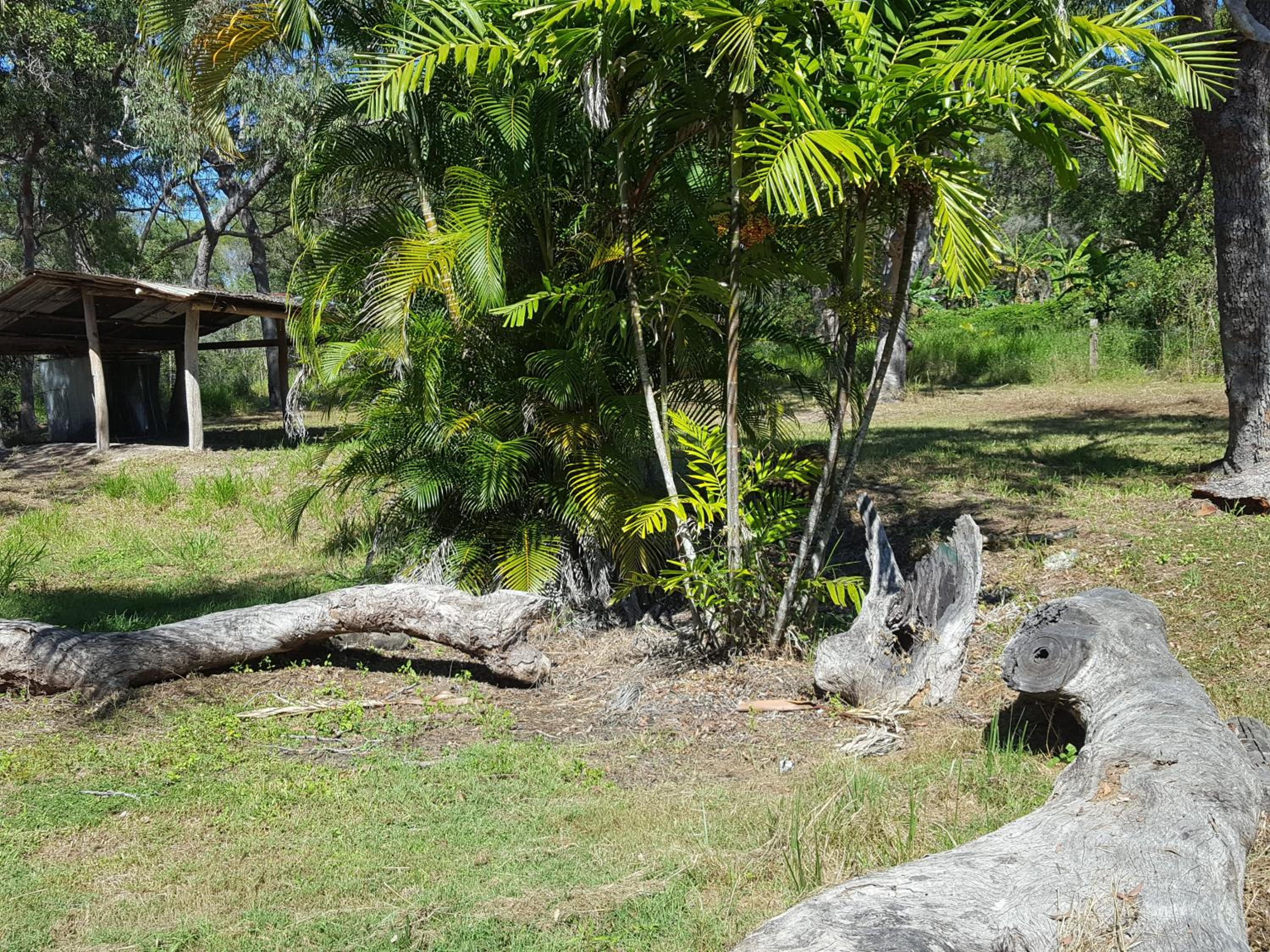 Yellow Cottage - bush and beach