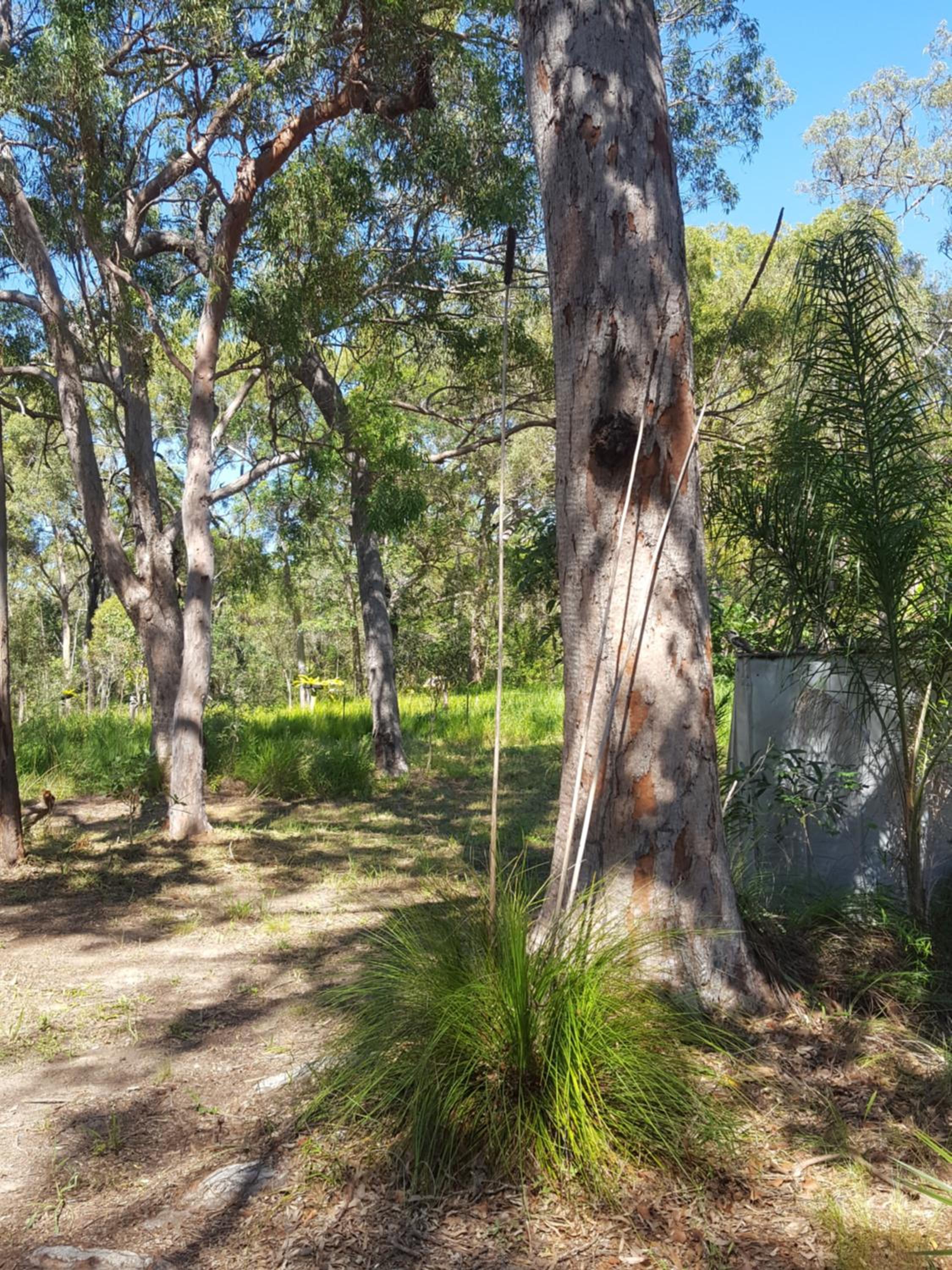Yellow Cottage - bush and beach
