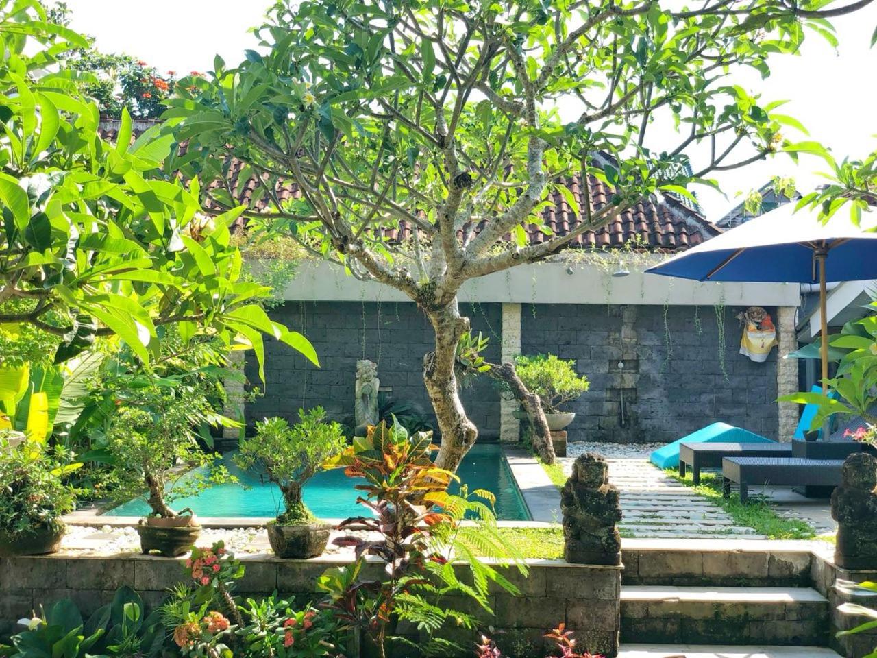 Ayu Bungalow 2 view 5