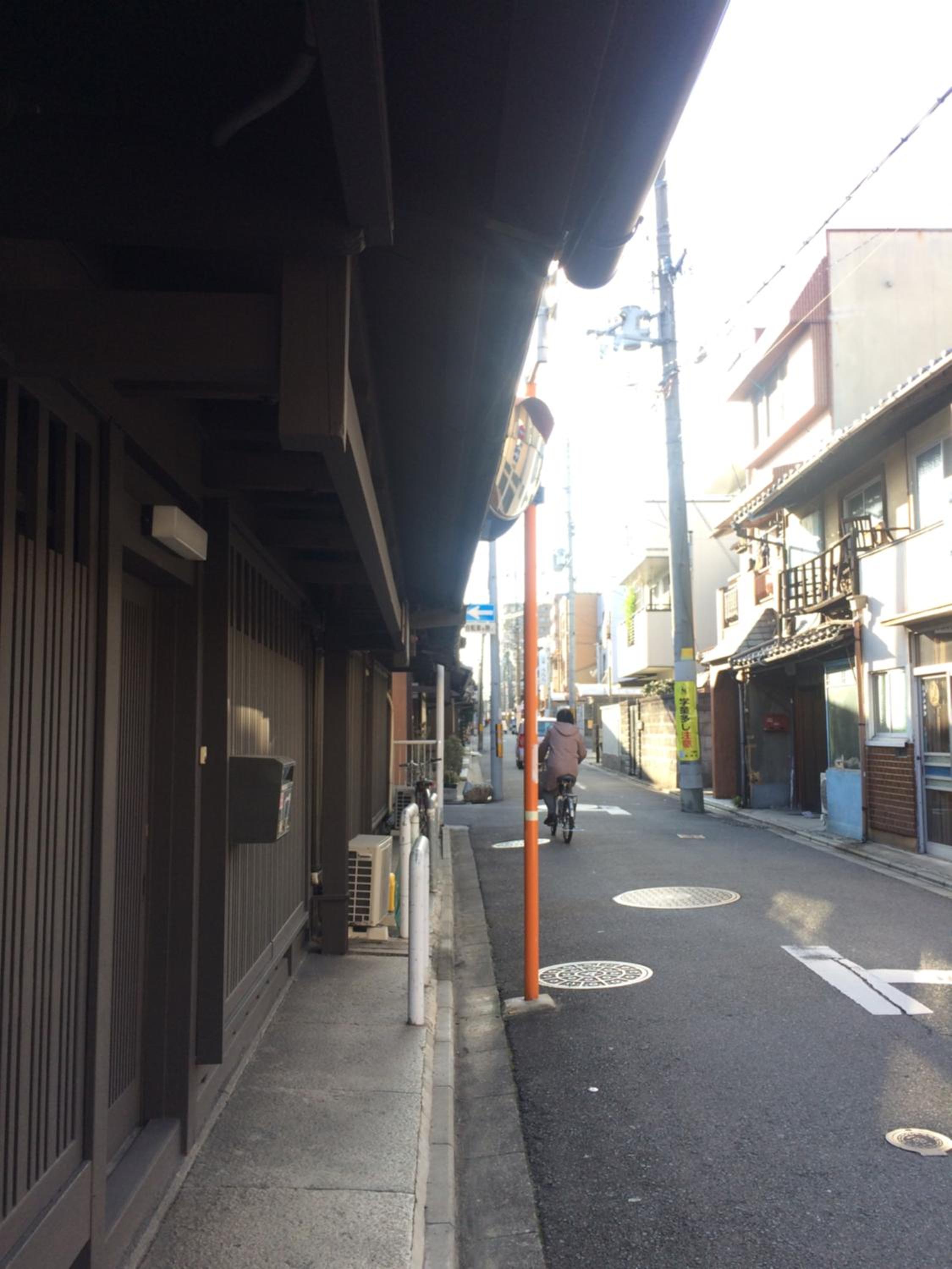 Nishijin Ivy view 2