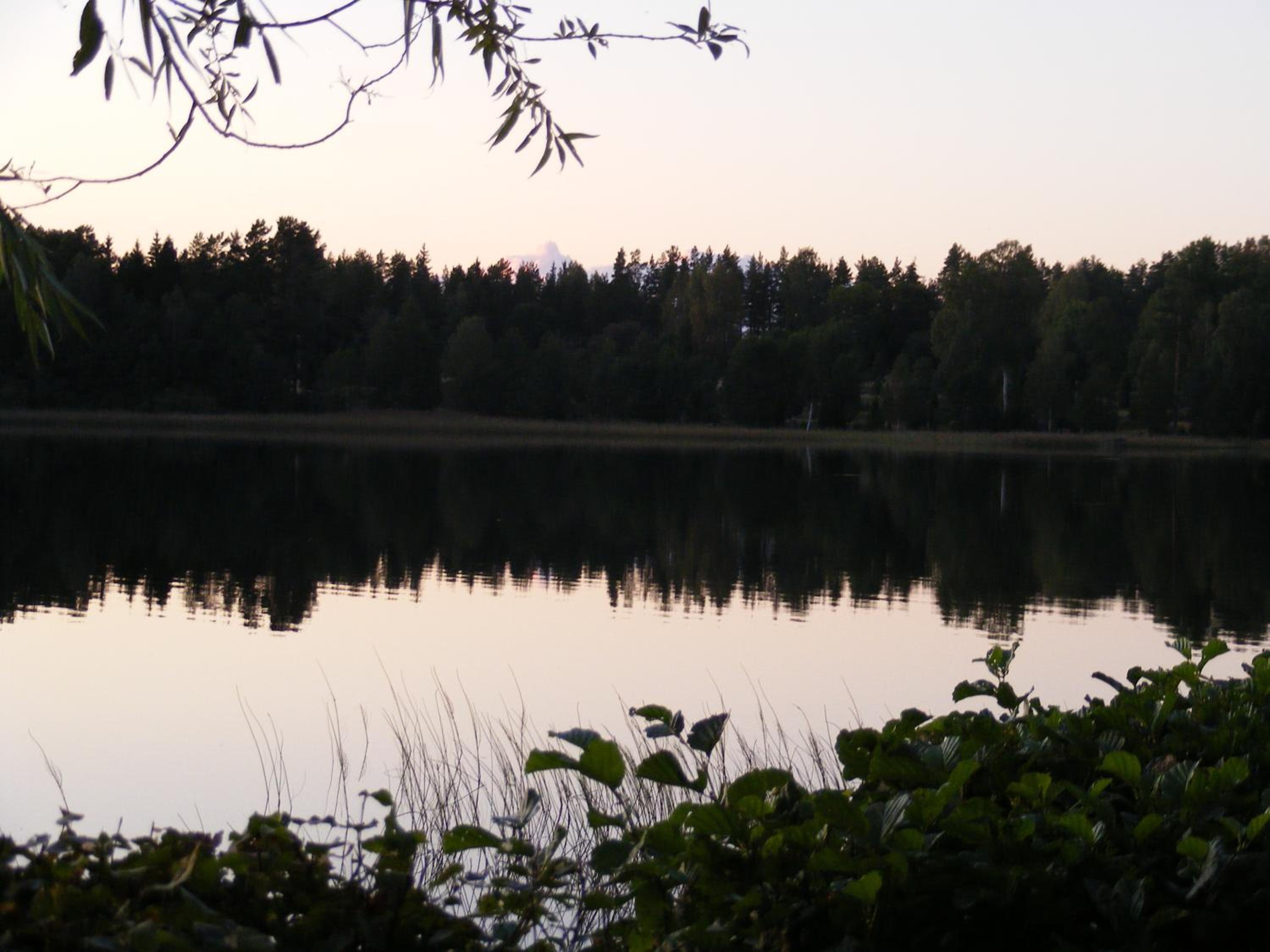 Photo 49