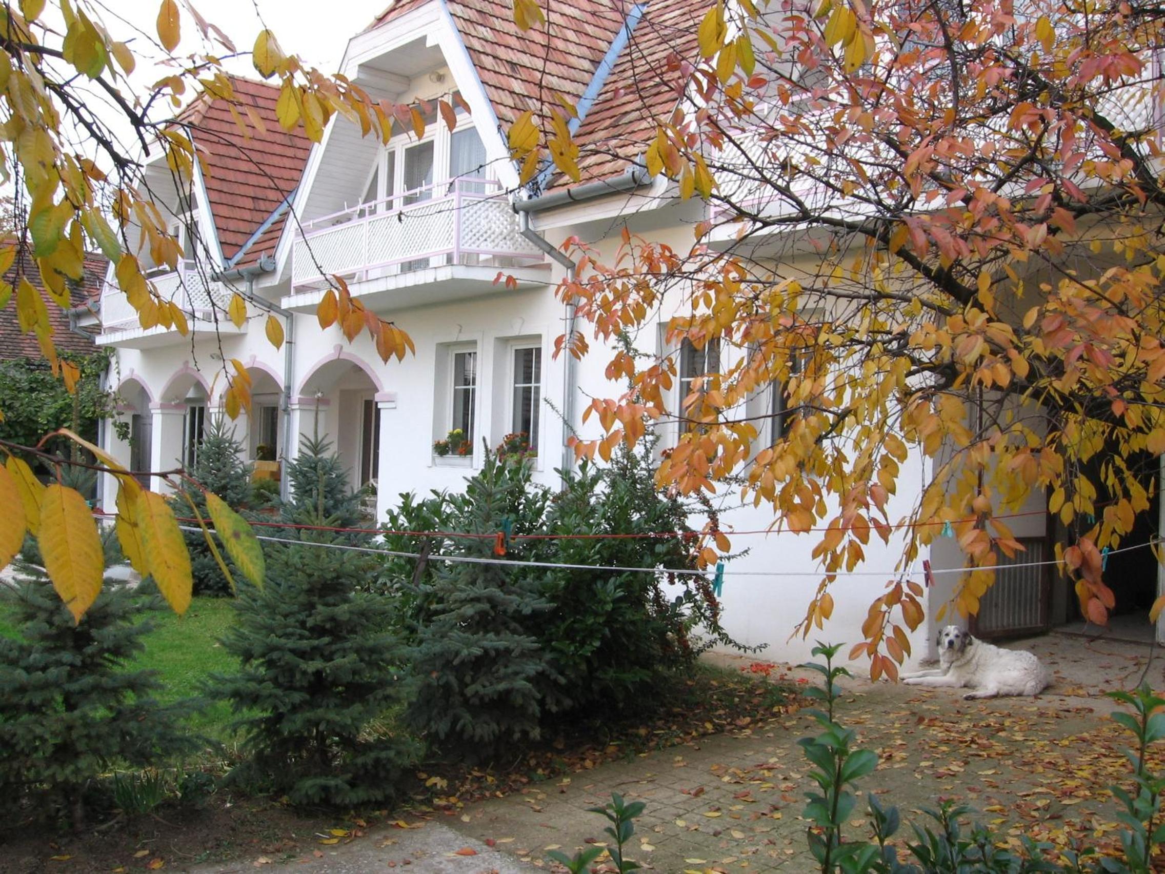 Photo 35