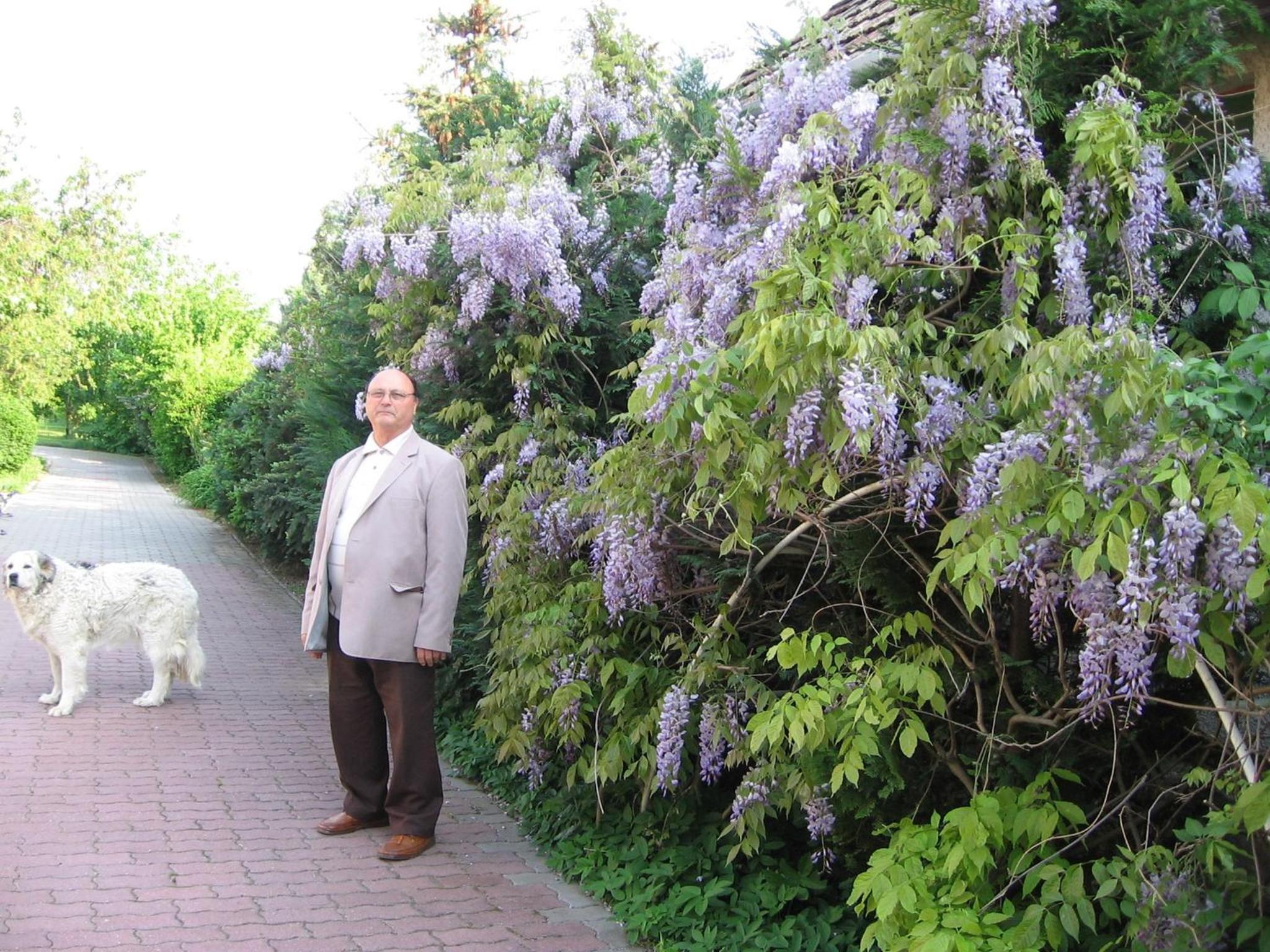 Photo 32