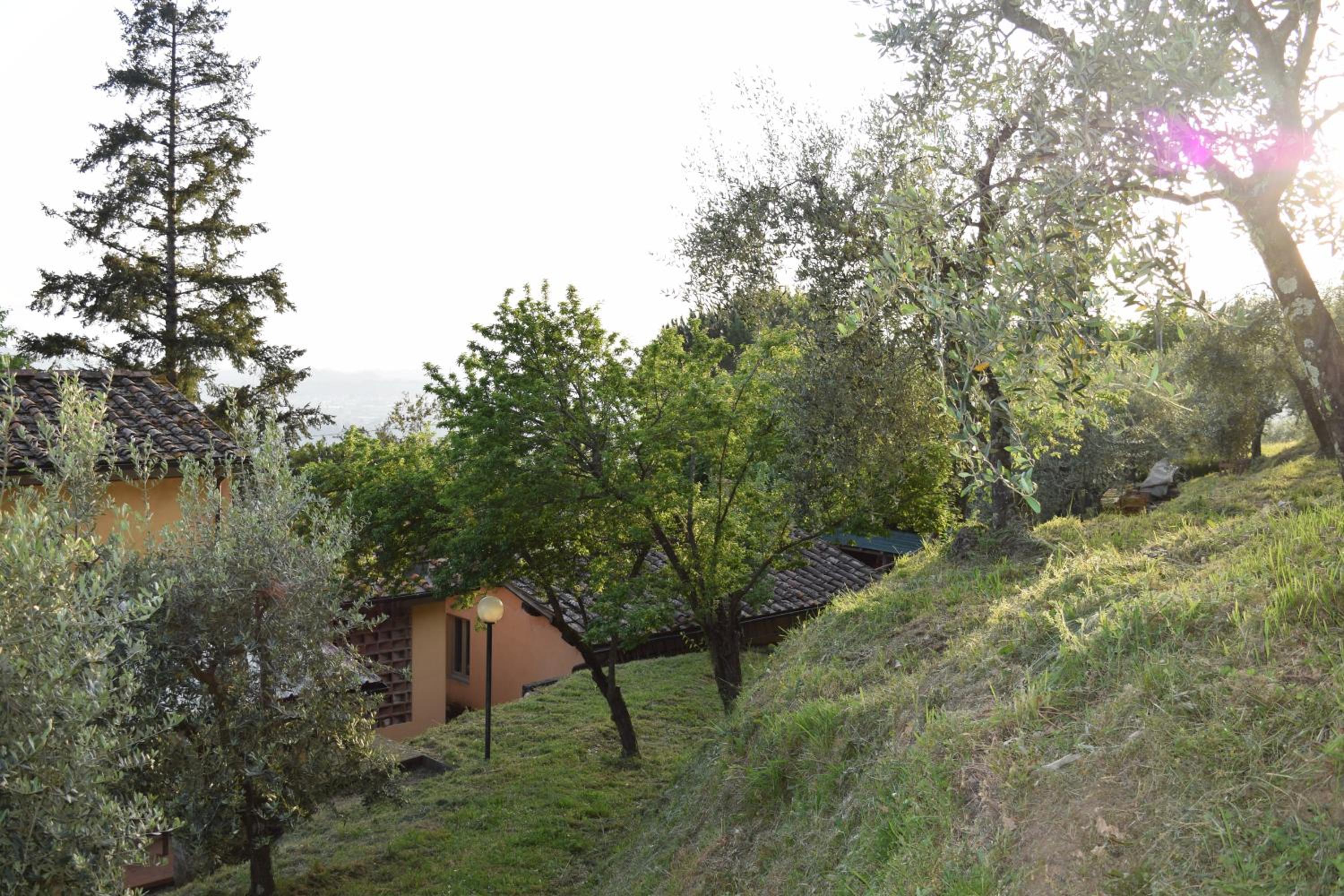 Photo 26