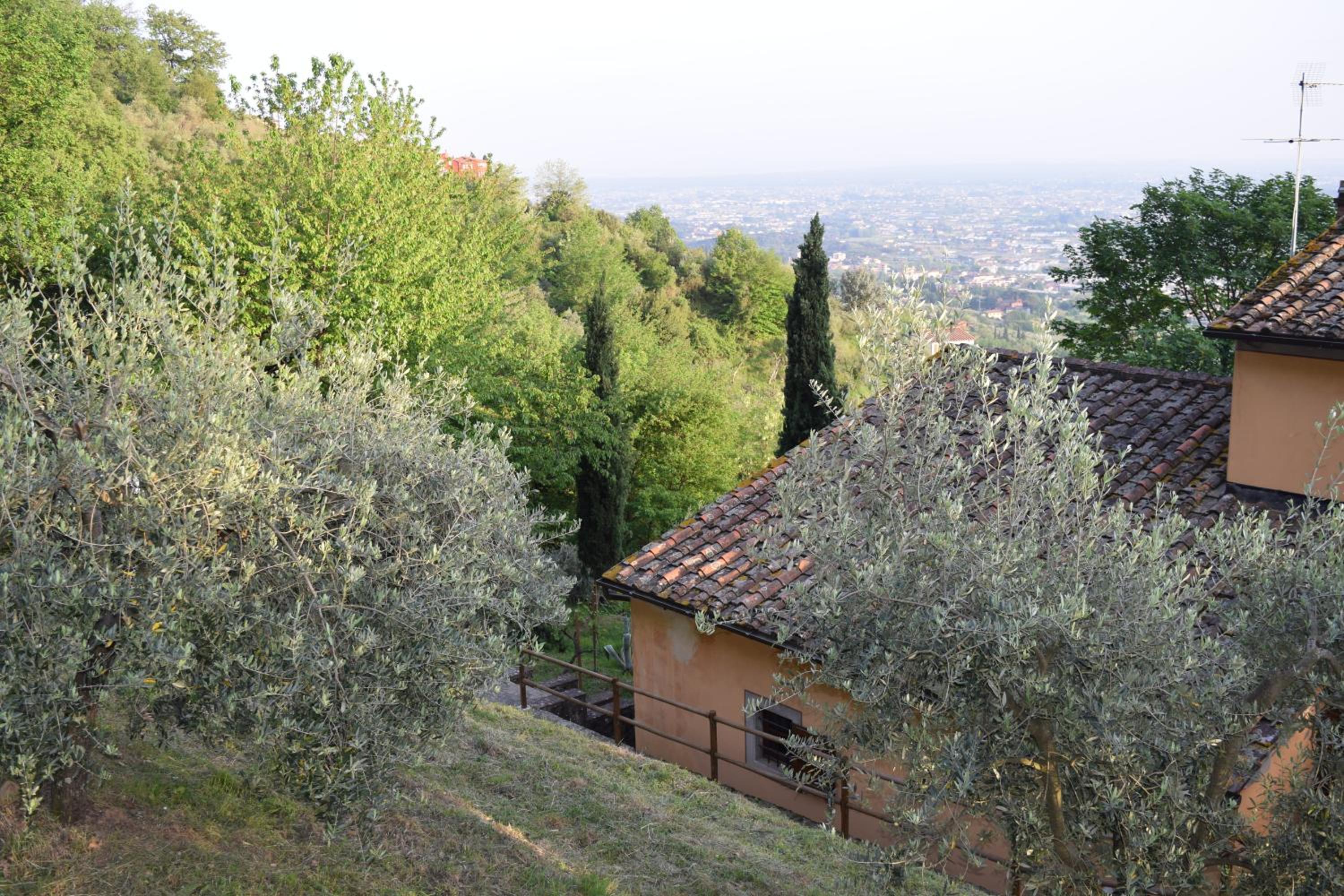 Photo 40