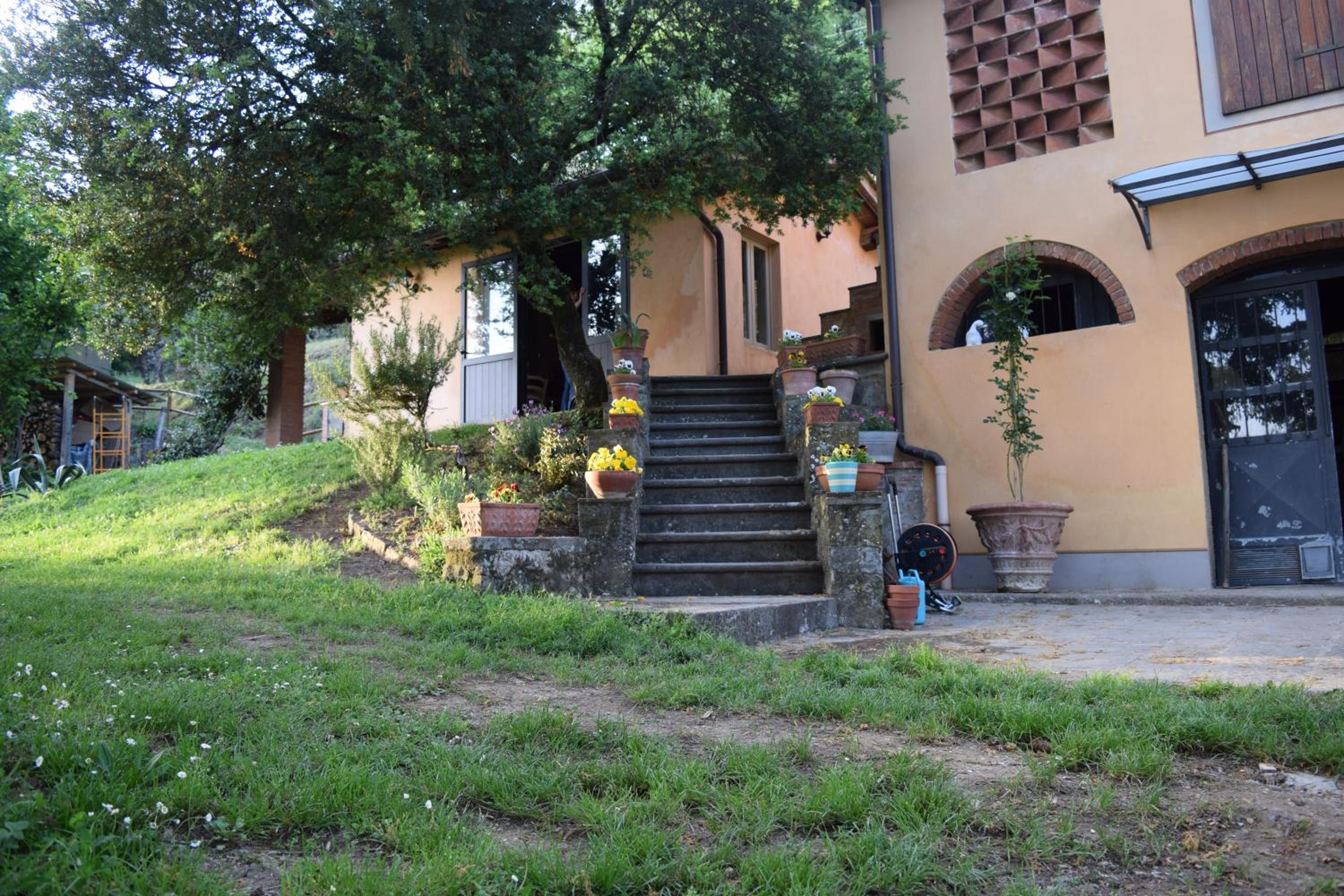 Photo 42