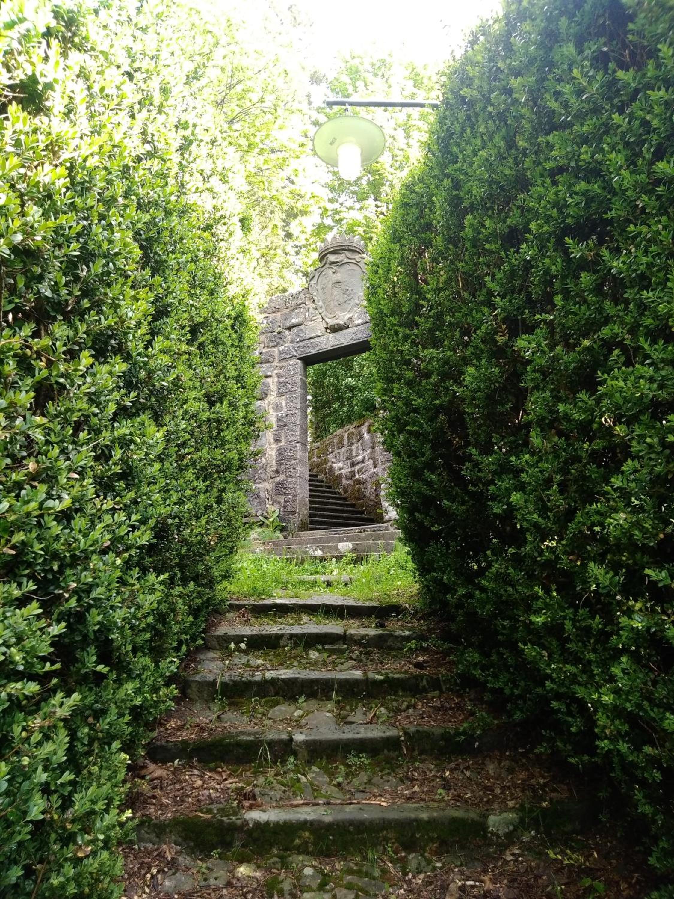 Photo 52